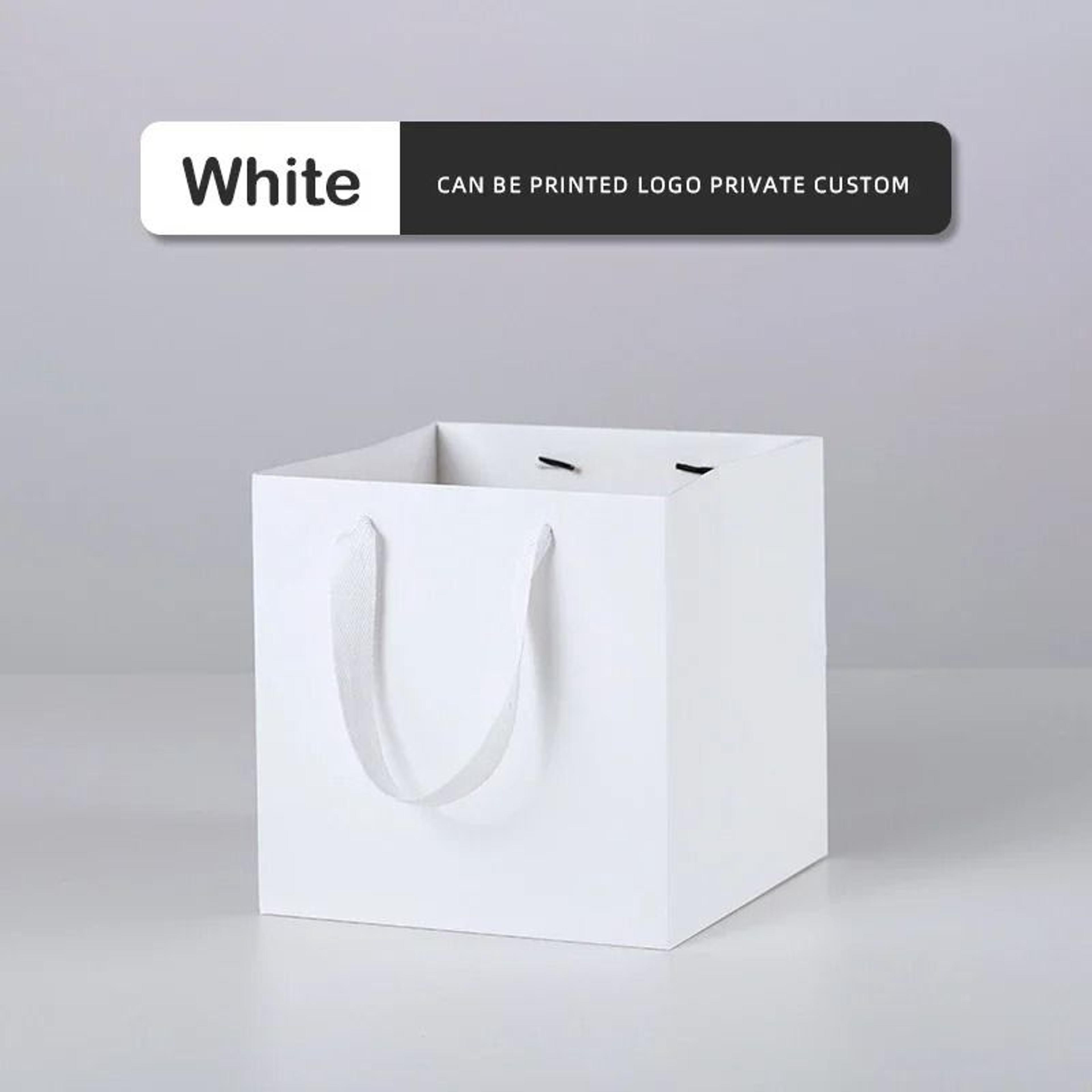 10 Pcs Kraft Paper Gift Bags With Handles 12