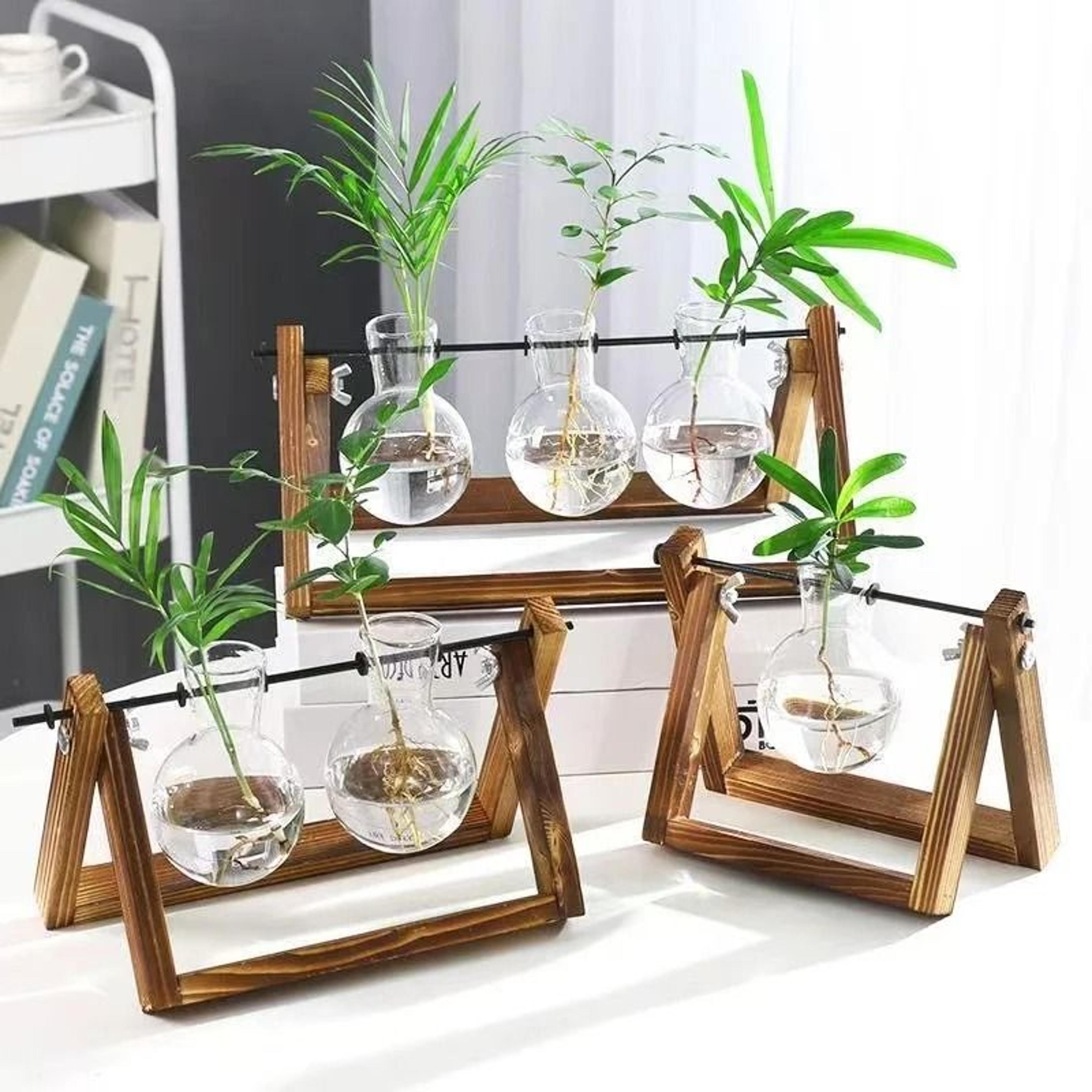 Hydroponic Plant Vase With Wooden Stand 1