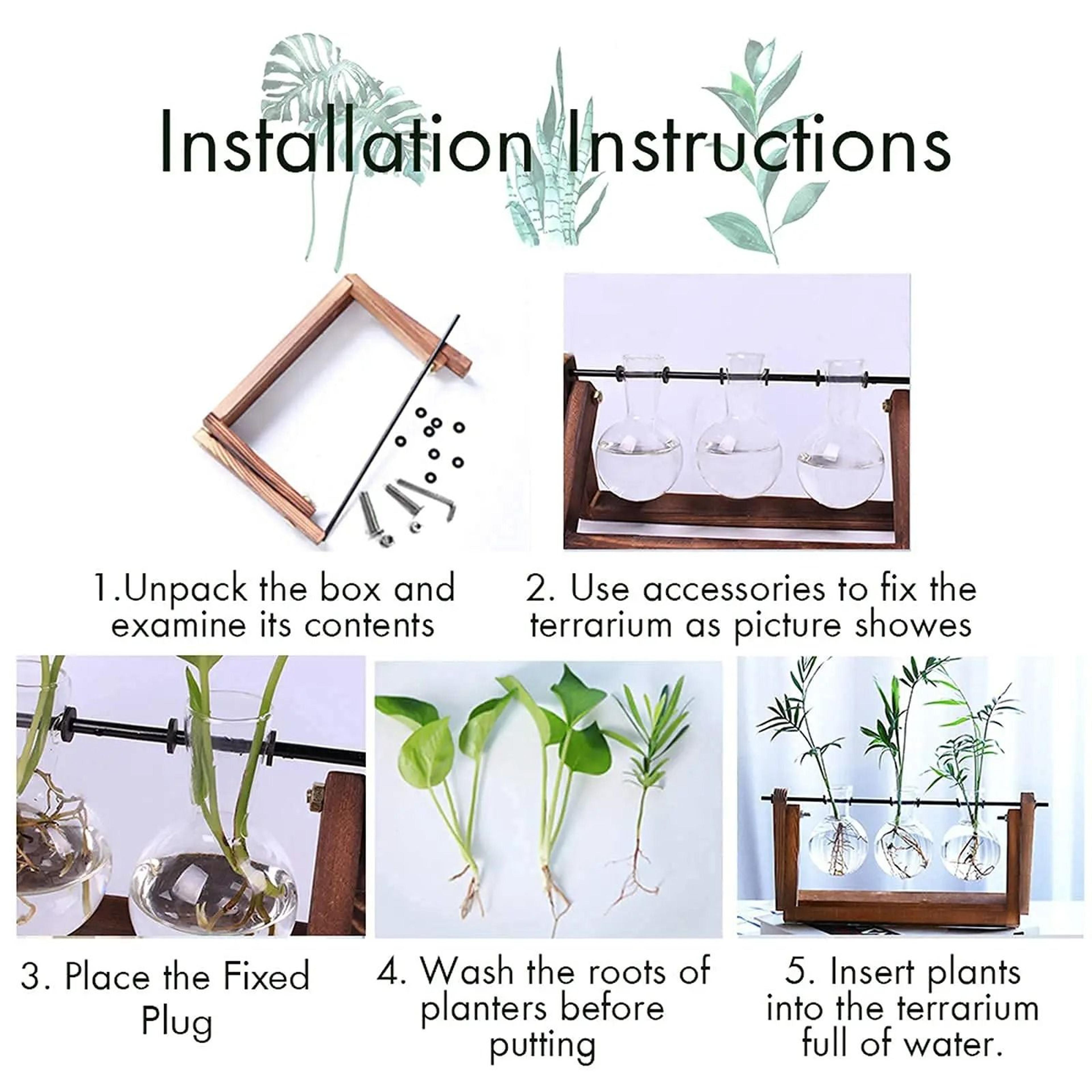 Hydroponic Plant Vase With Wooden Stand 4