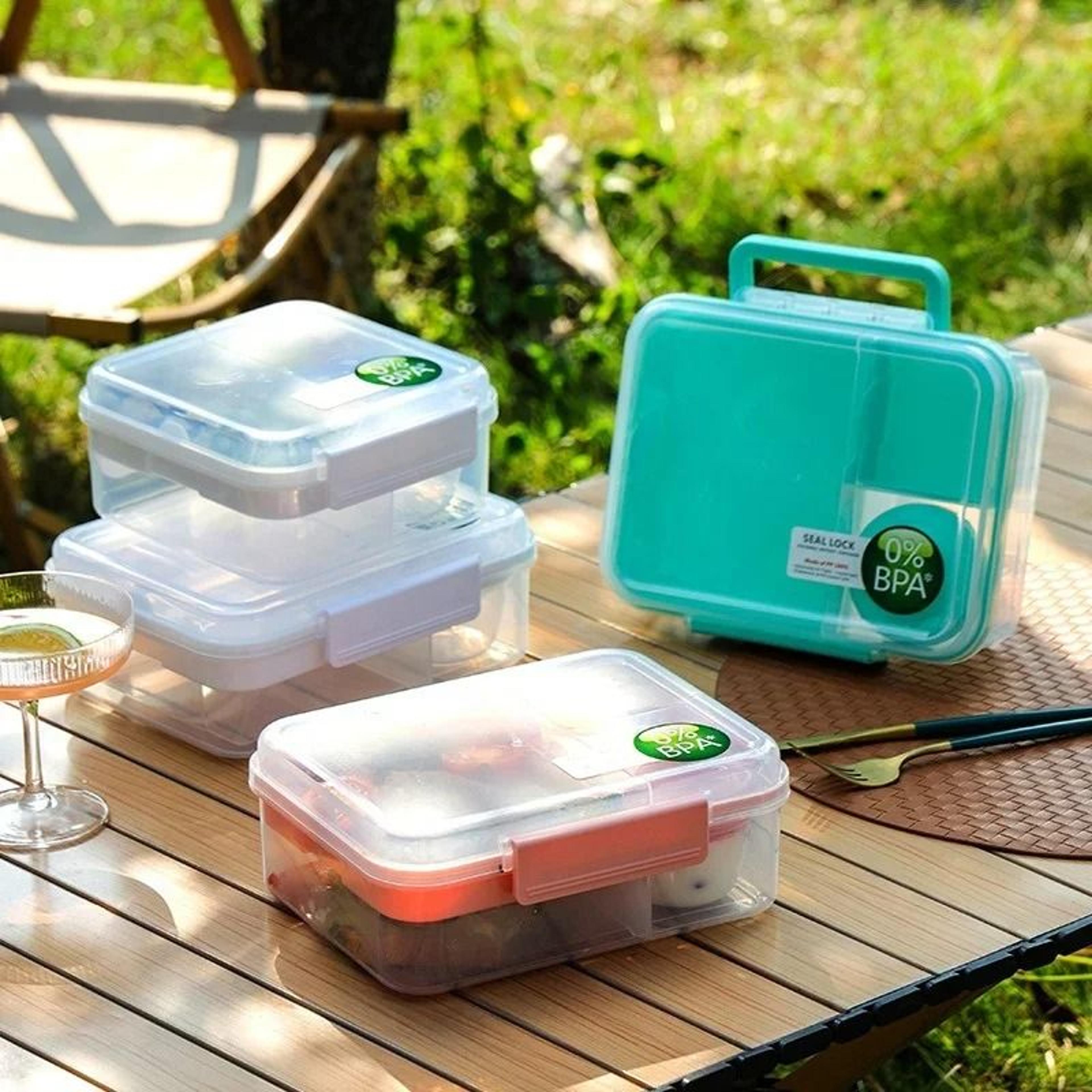 Double Layer Bento Lunch Box With Carry Handle 2