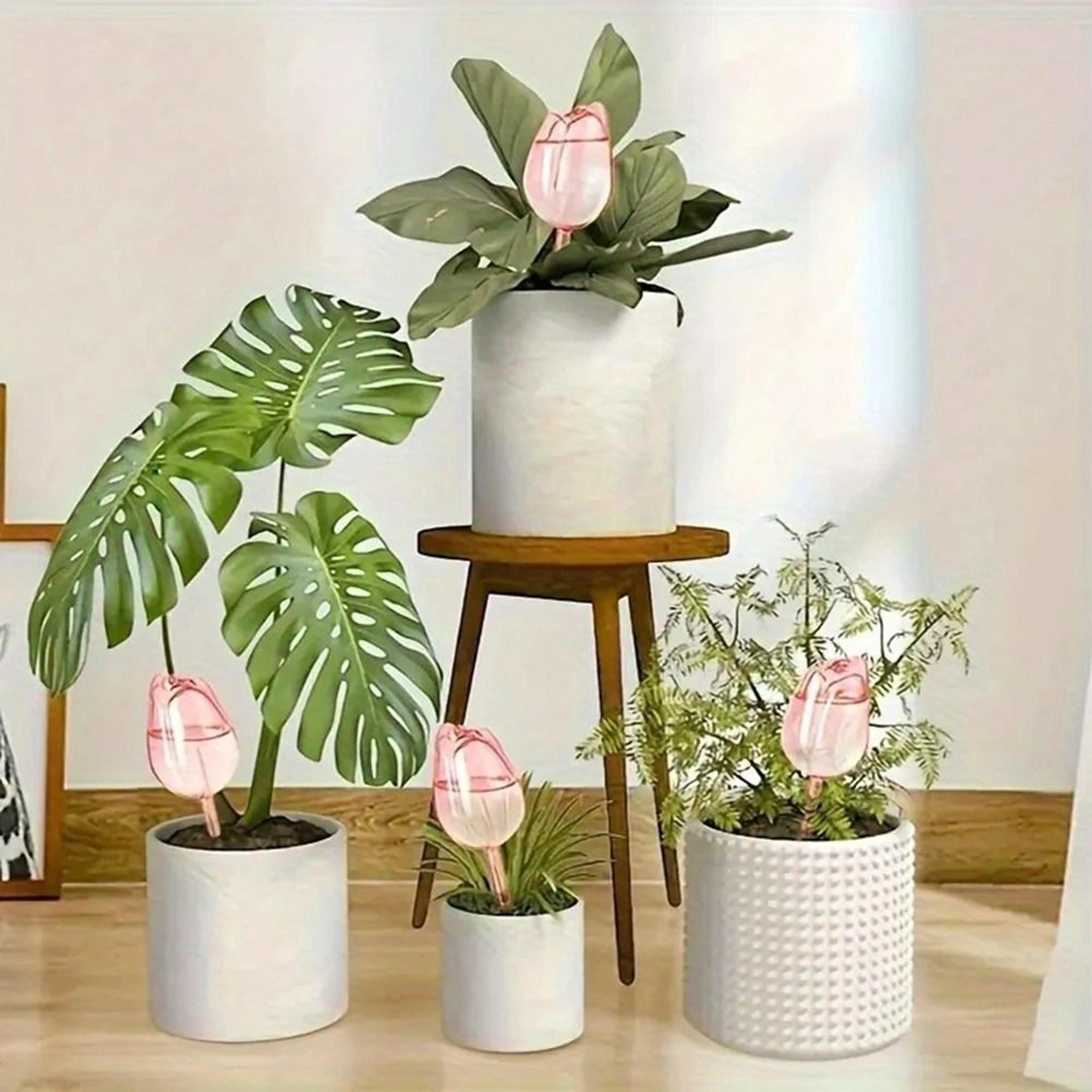 Tulip Plant Watering Globes Automatic Self Watering Drippers Set Of 4 5