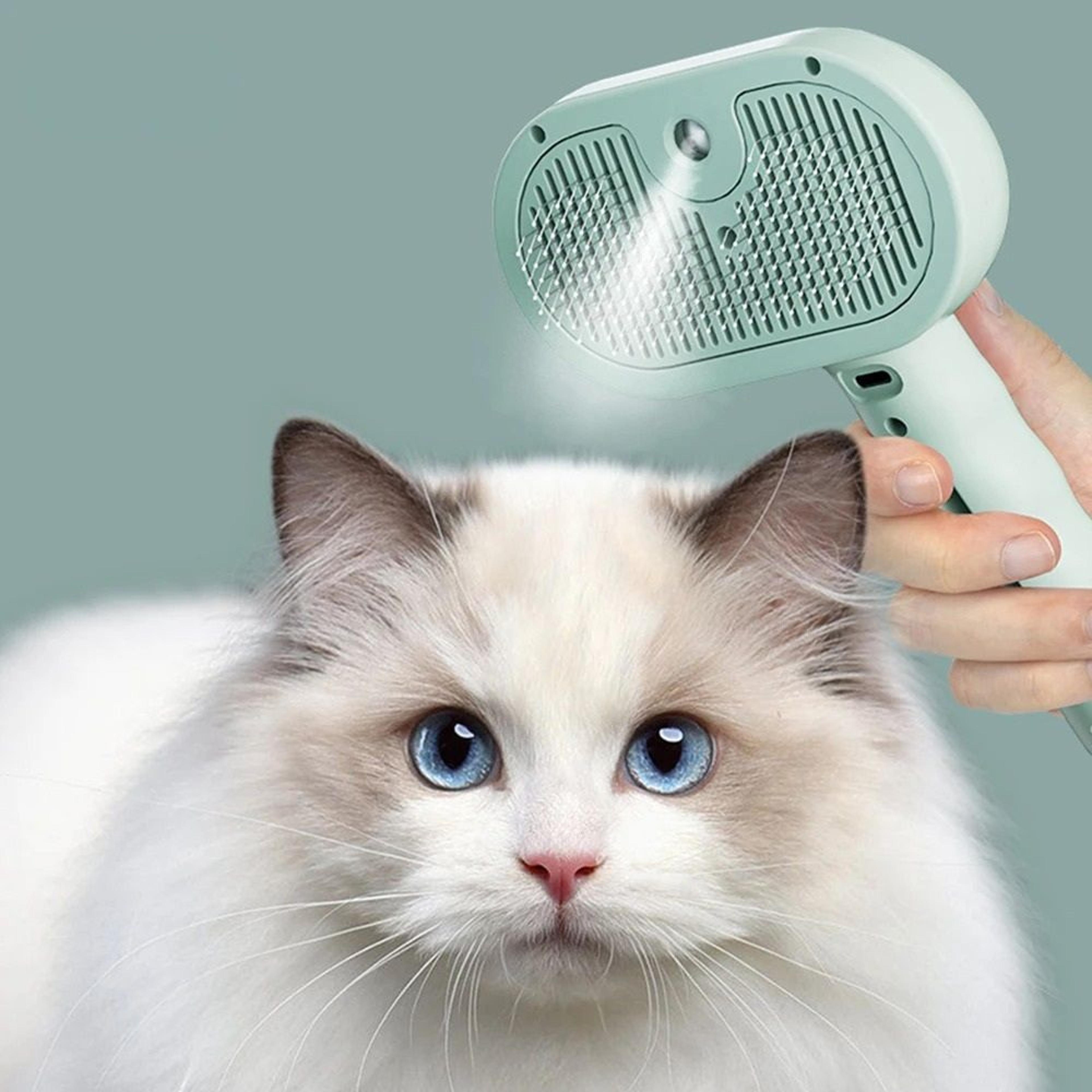 Pet Steam Grooming Brush Spray Dog Deshedding And Detangling Brush 0