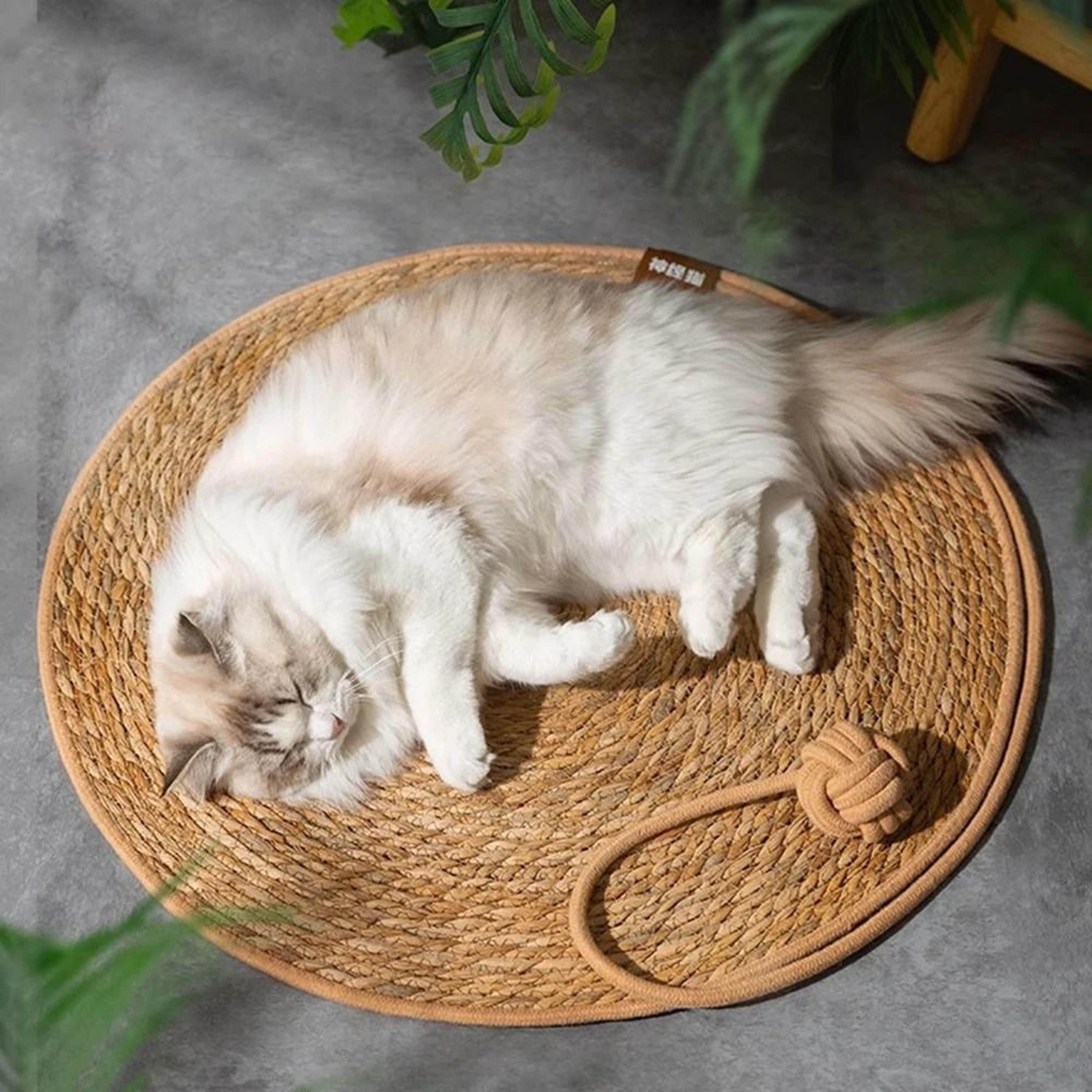 Rattan Cat Scratching Mat Round Cat Scratcher Furniture Protector For Indoor Cats 3