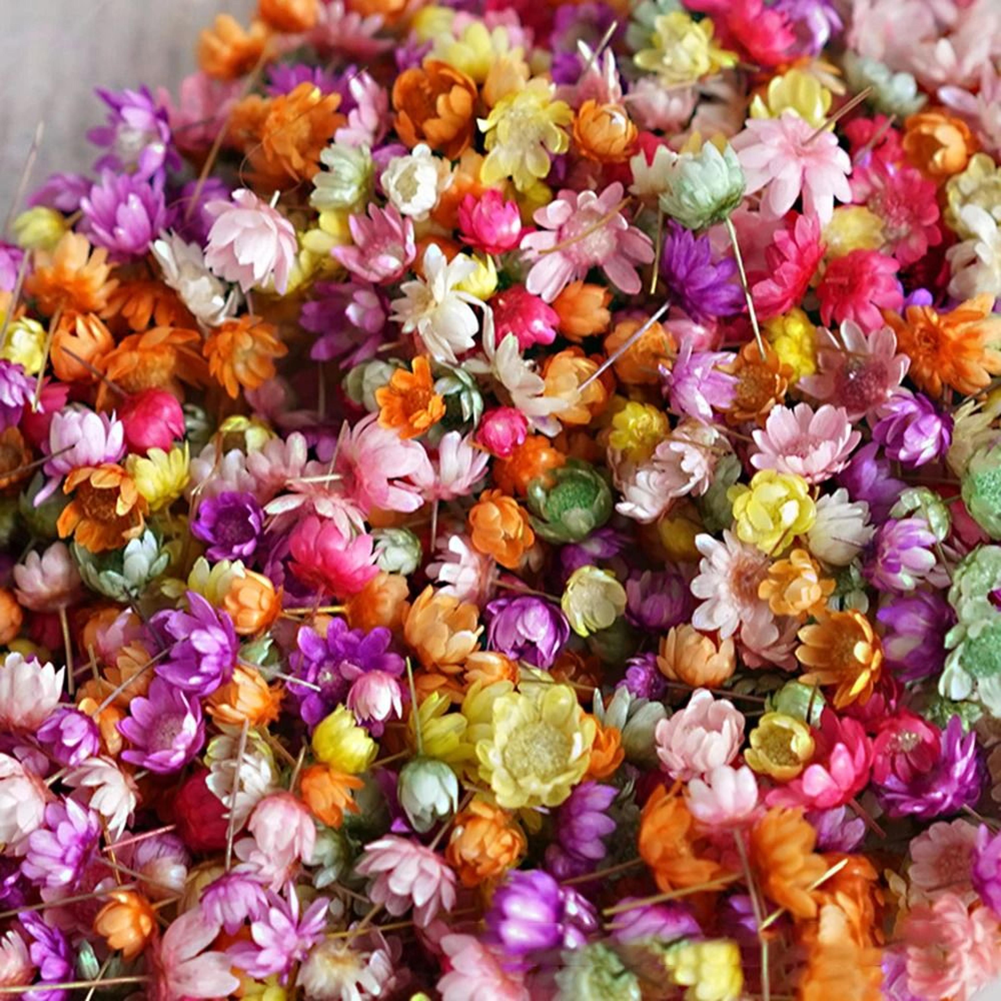 Mini Dried Look Artificial Flower Heads For DIY Crafts Resin Jewelry Candle Decor 140 Or 280 Pieces 0