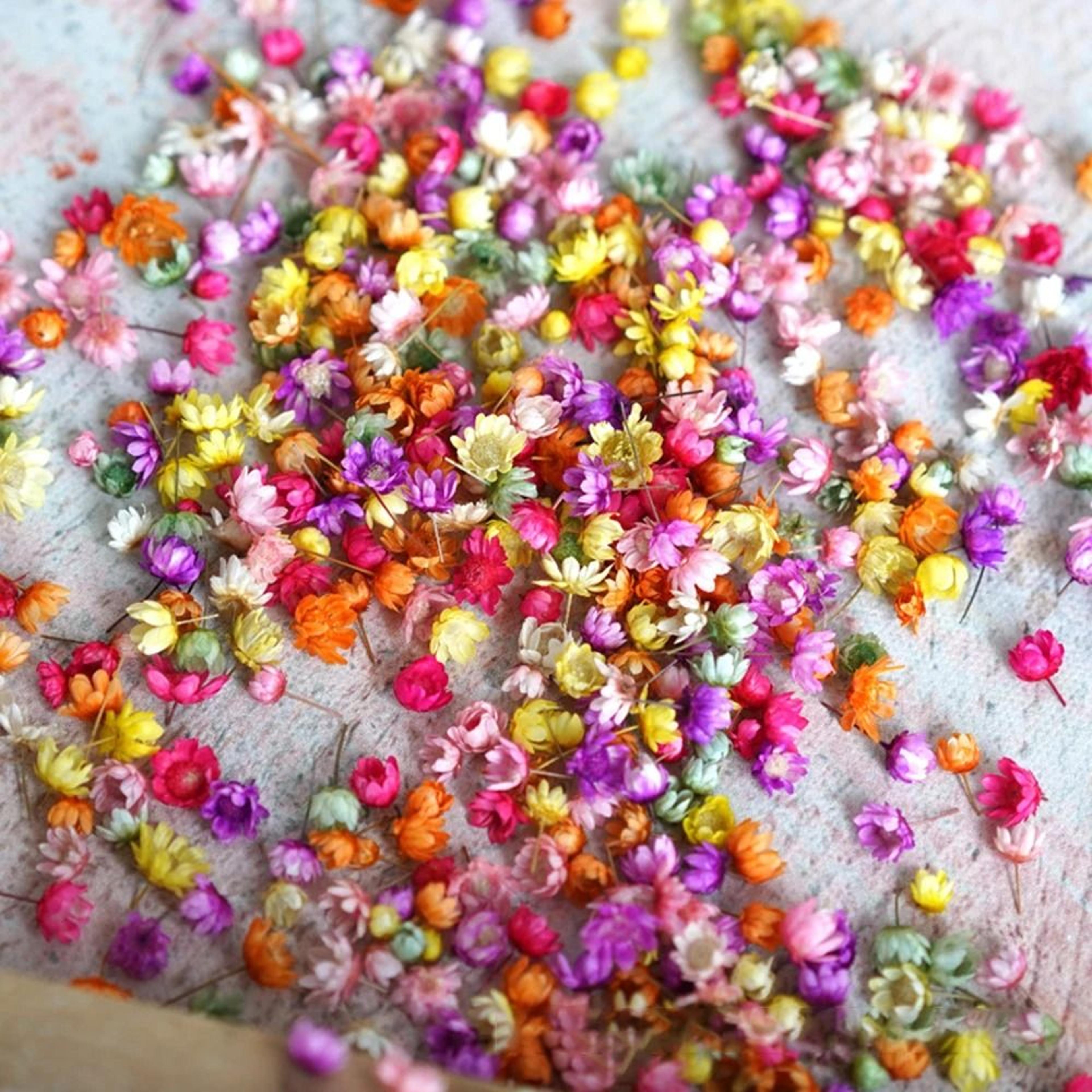 Mini Dried Look Artificial Flower Heads For DIY Crafts Resin Jewelry Candle Decor 140 Or 280 Pieces 1