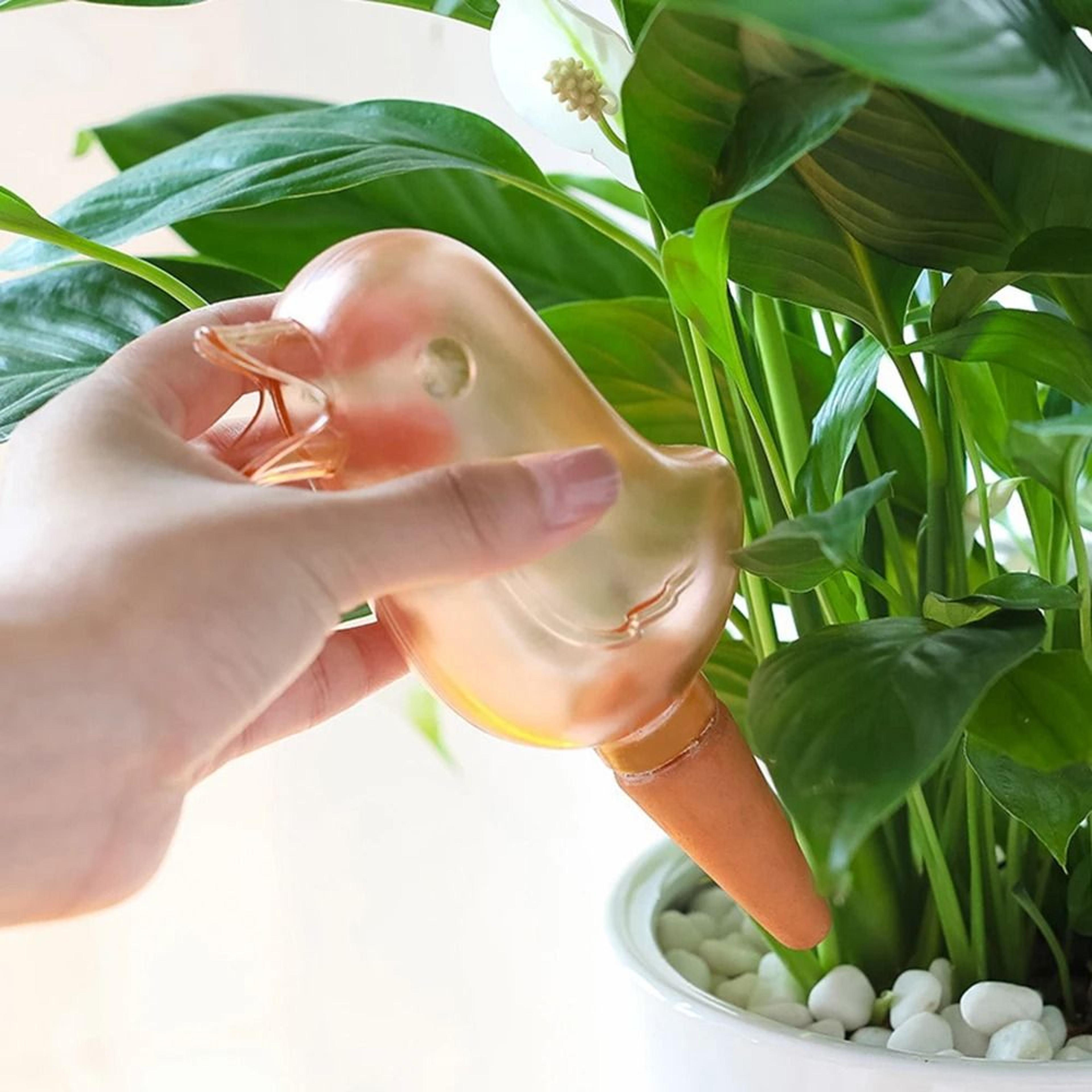 Automatic Plant Watering Bird Drip Feeder Self Watering Irrigation Percolator For Potted Plants 3