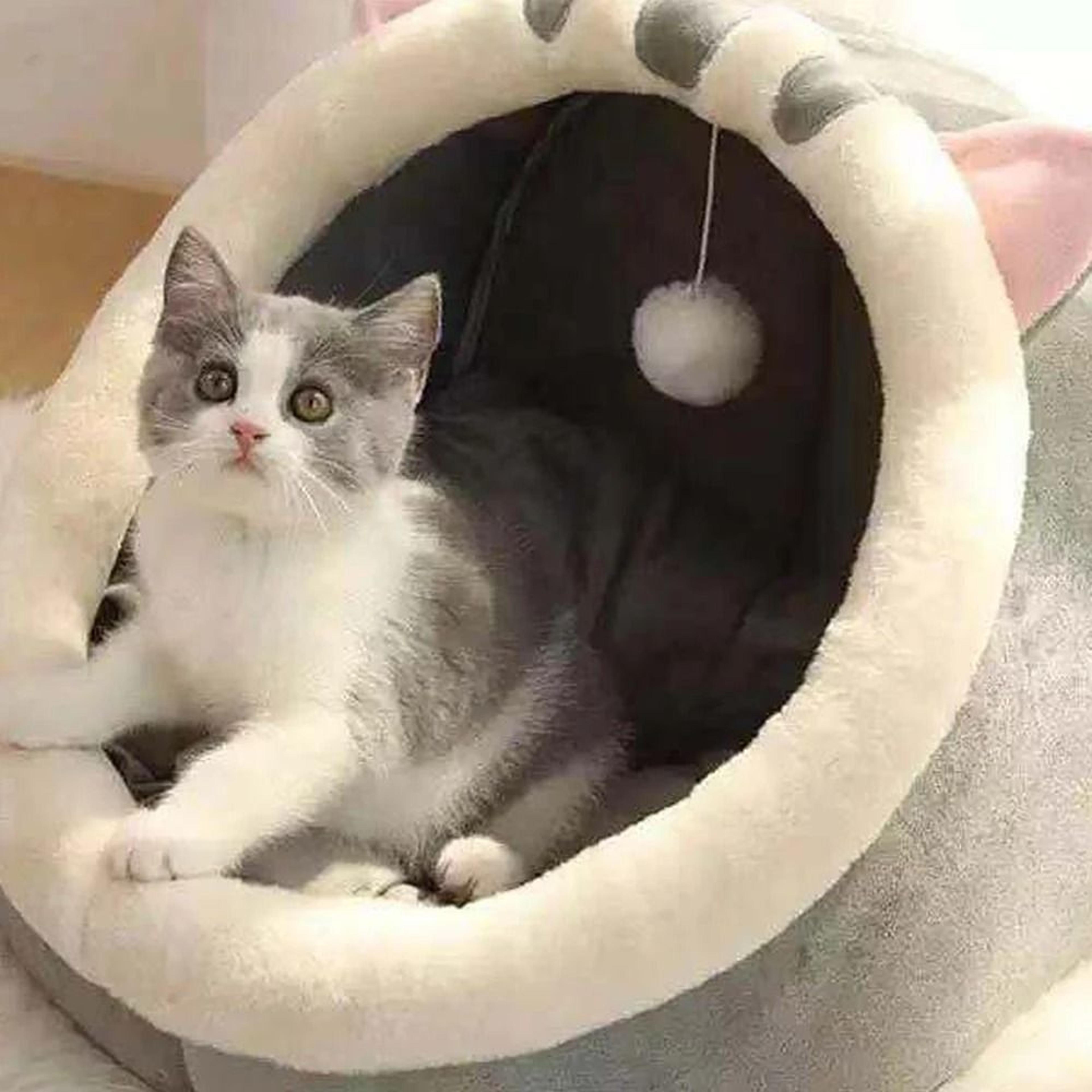 Warm Semi Closed Cat Cave Bed Cozy Winter Pet Nest For Cats And Small Dogs 2