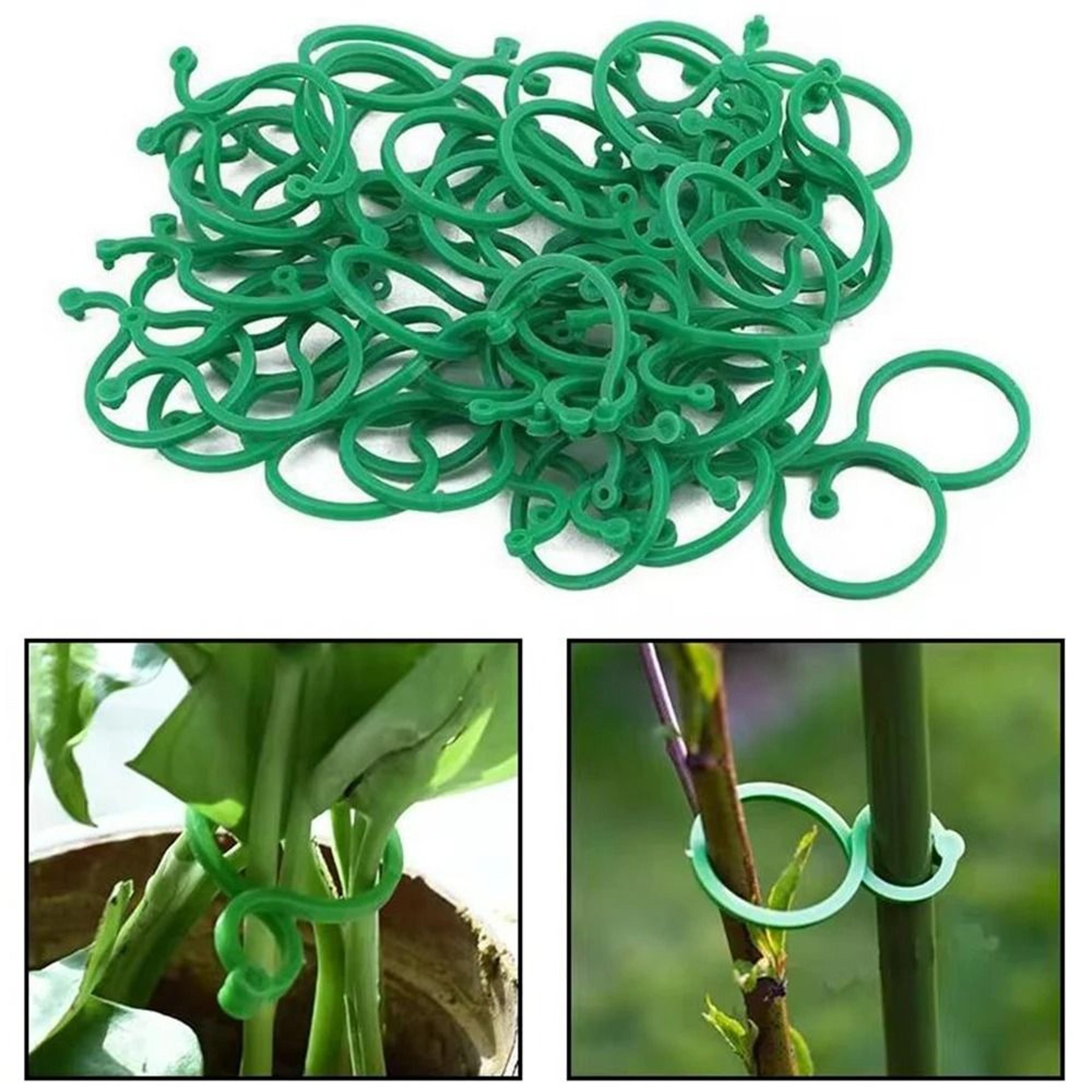 Figure Eight Plant Clips Plastic Garden Vine Ties For Trellis Support And Stem Fixing 50 Or 100 Pac 1
