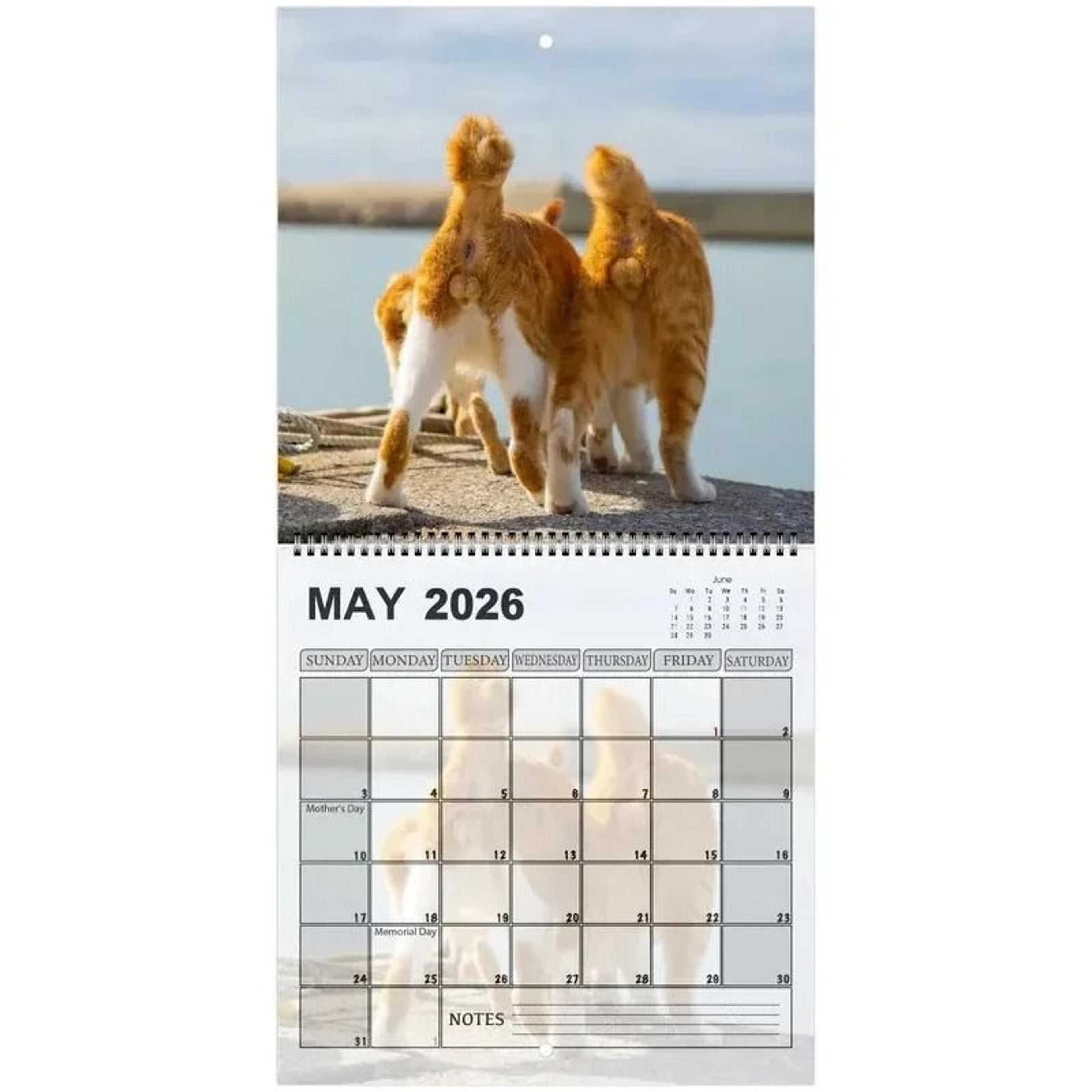 Funny 2026 Cats Buttholes Calendar Unique Humorous Monthly Planner For Gifting And Decor 2