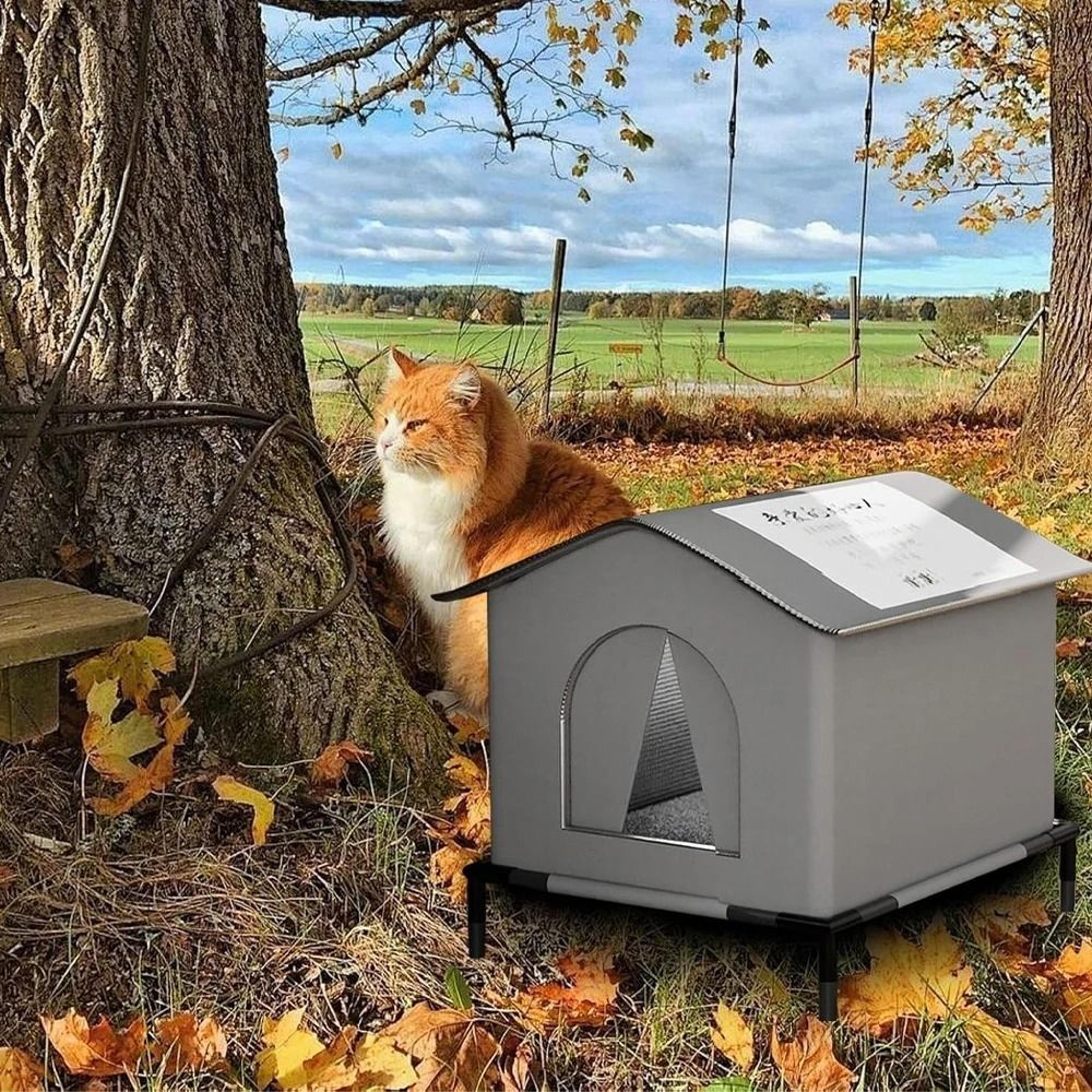 AllWeather Outdoor Insulated Pet Shelter 3