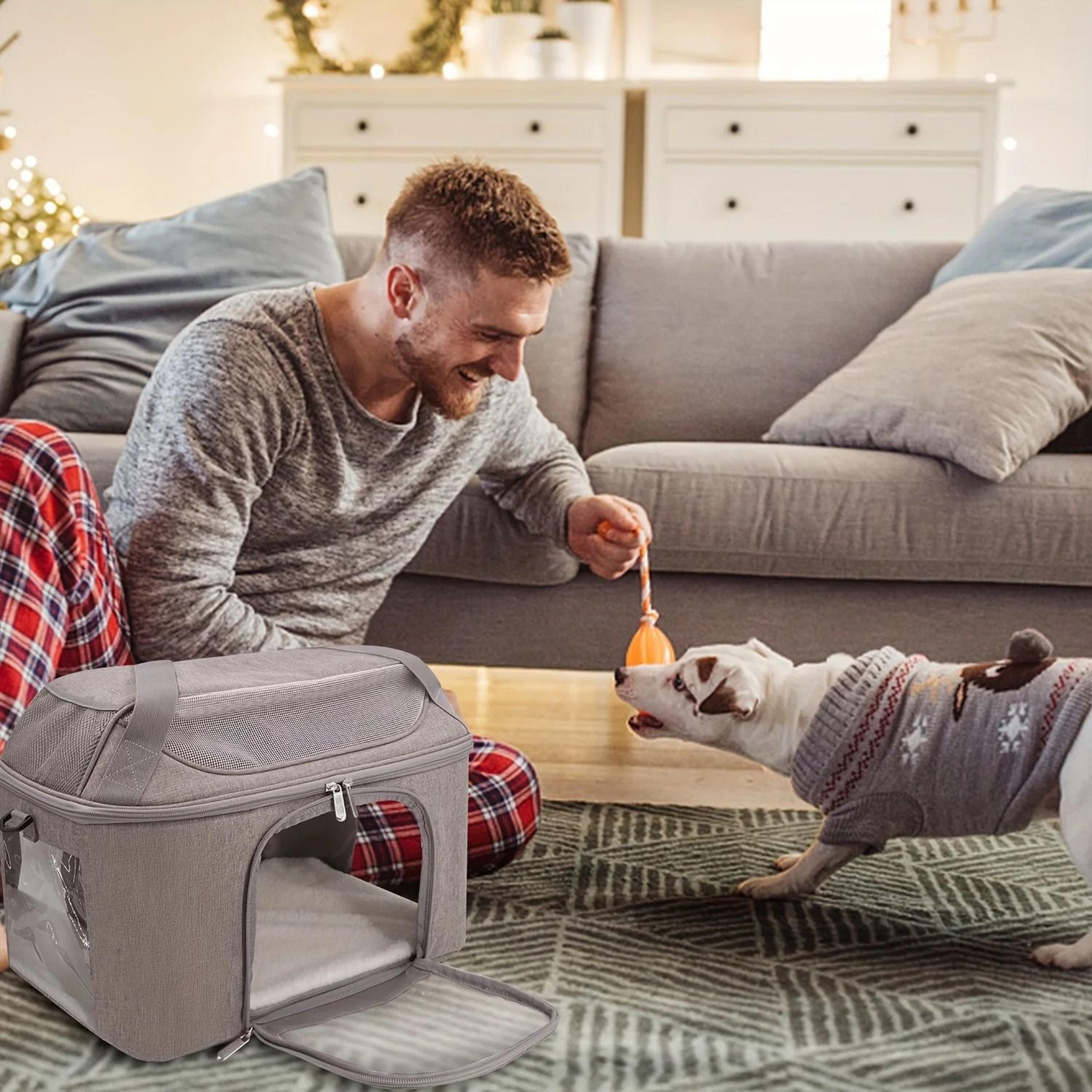 Professional Breathable Portable Pet Travel Carrier 4