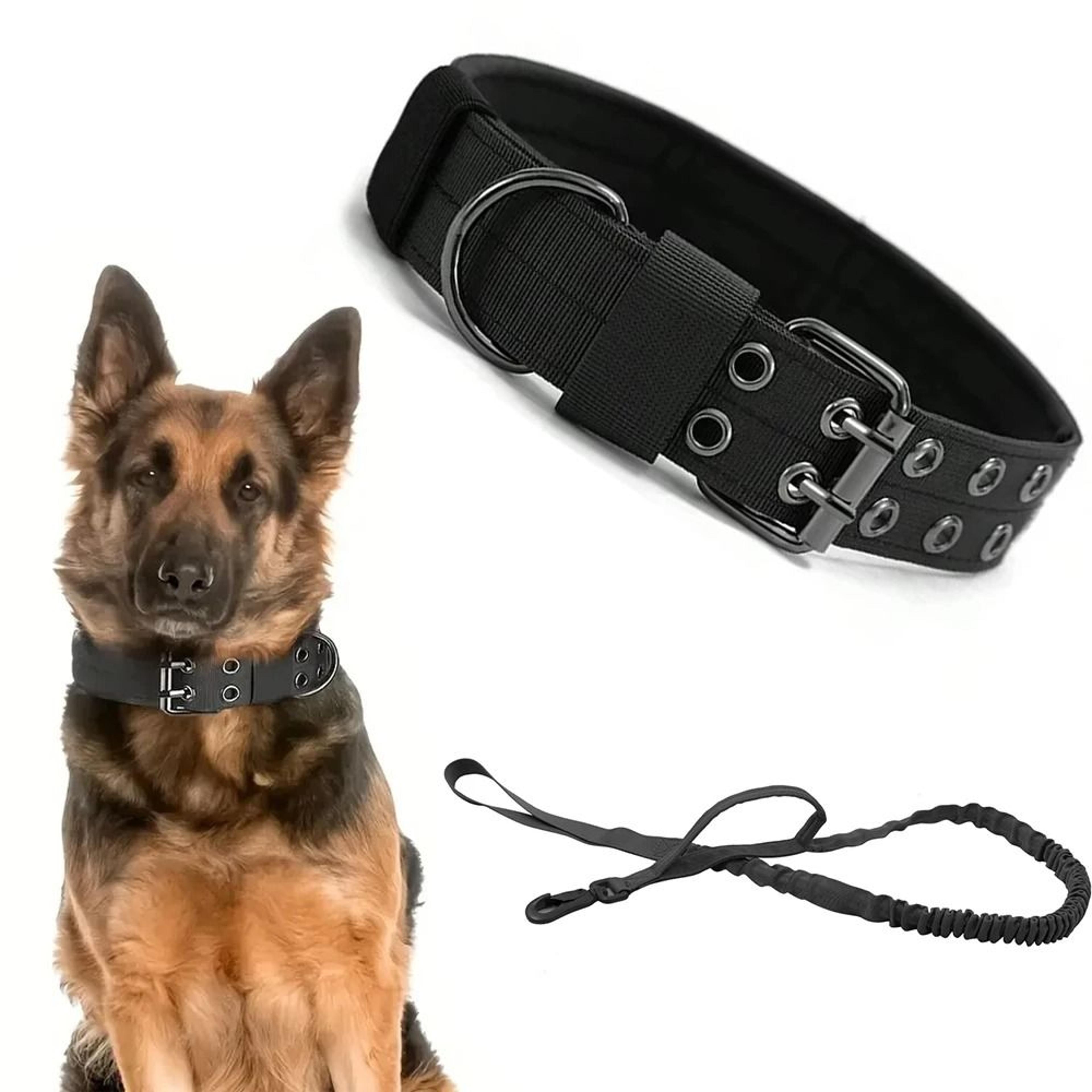 Professional Heavy Duty Tactical Dog Collar And Training Leash Set 0