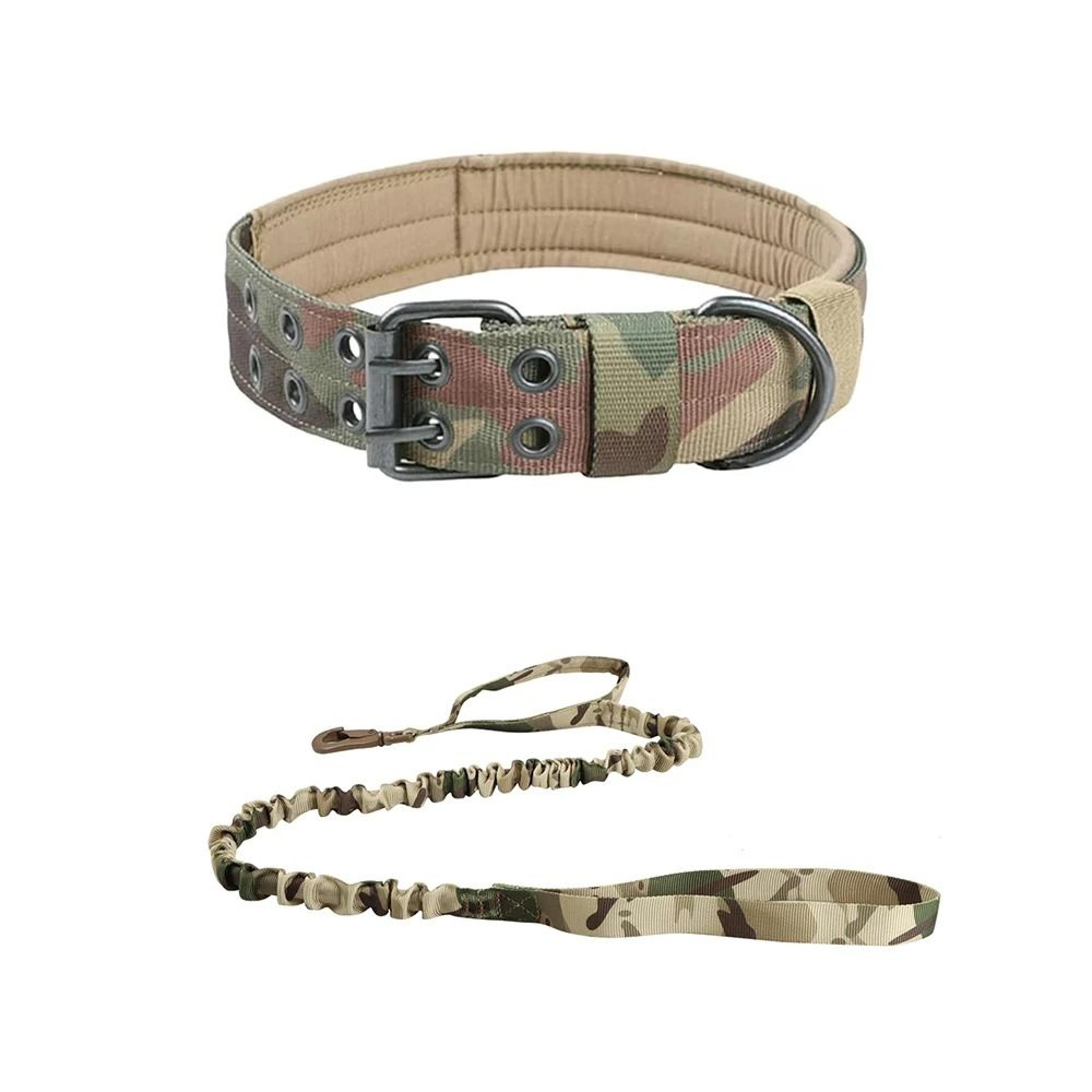 Professional Heavy Duty Tactical Dog Collar And Training Leash Set 10