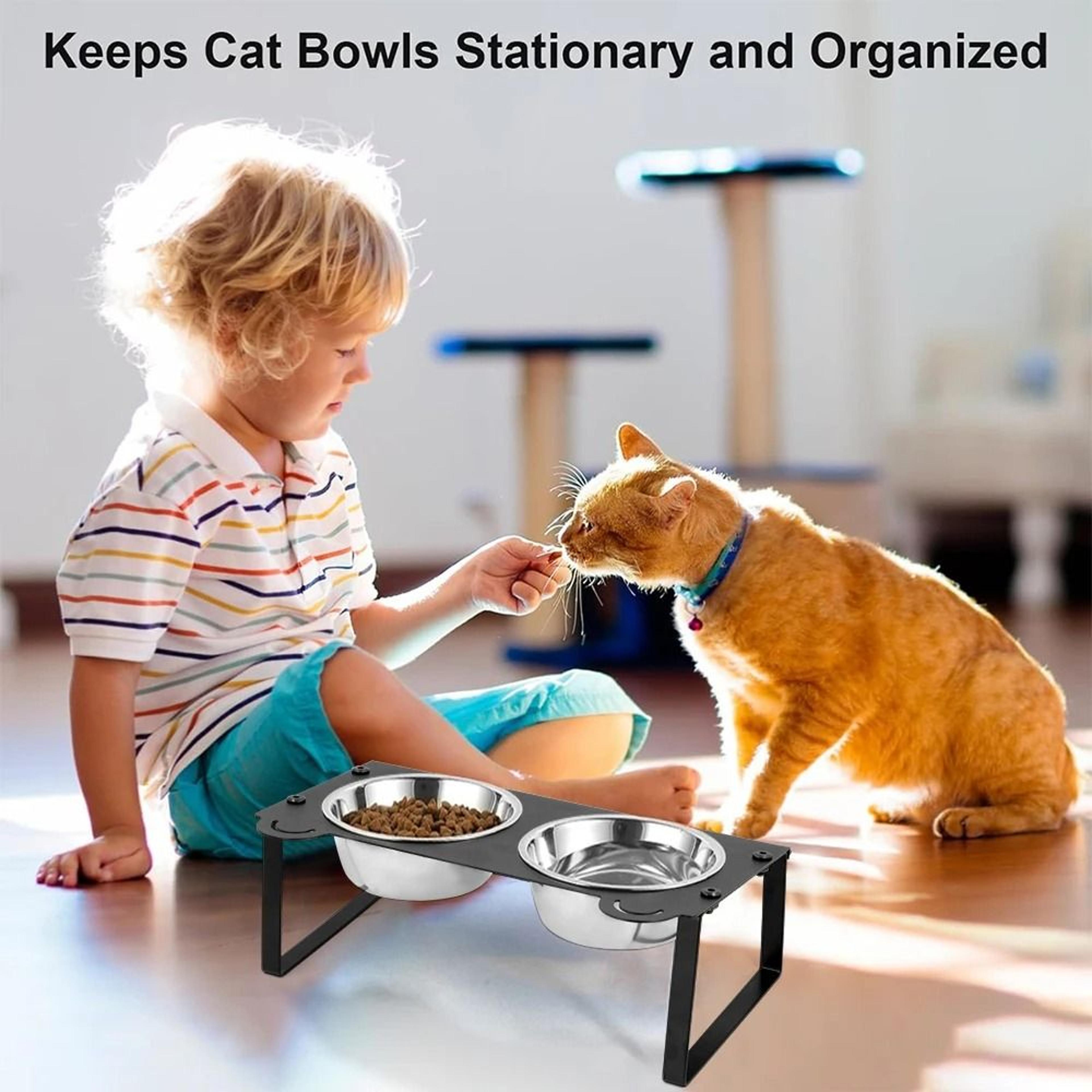 Professional Elevated 15 Degree Tilted Stainless Steel Pet Feeder 5