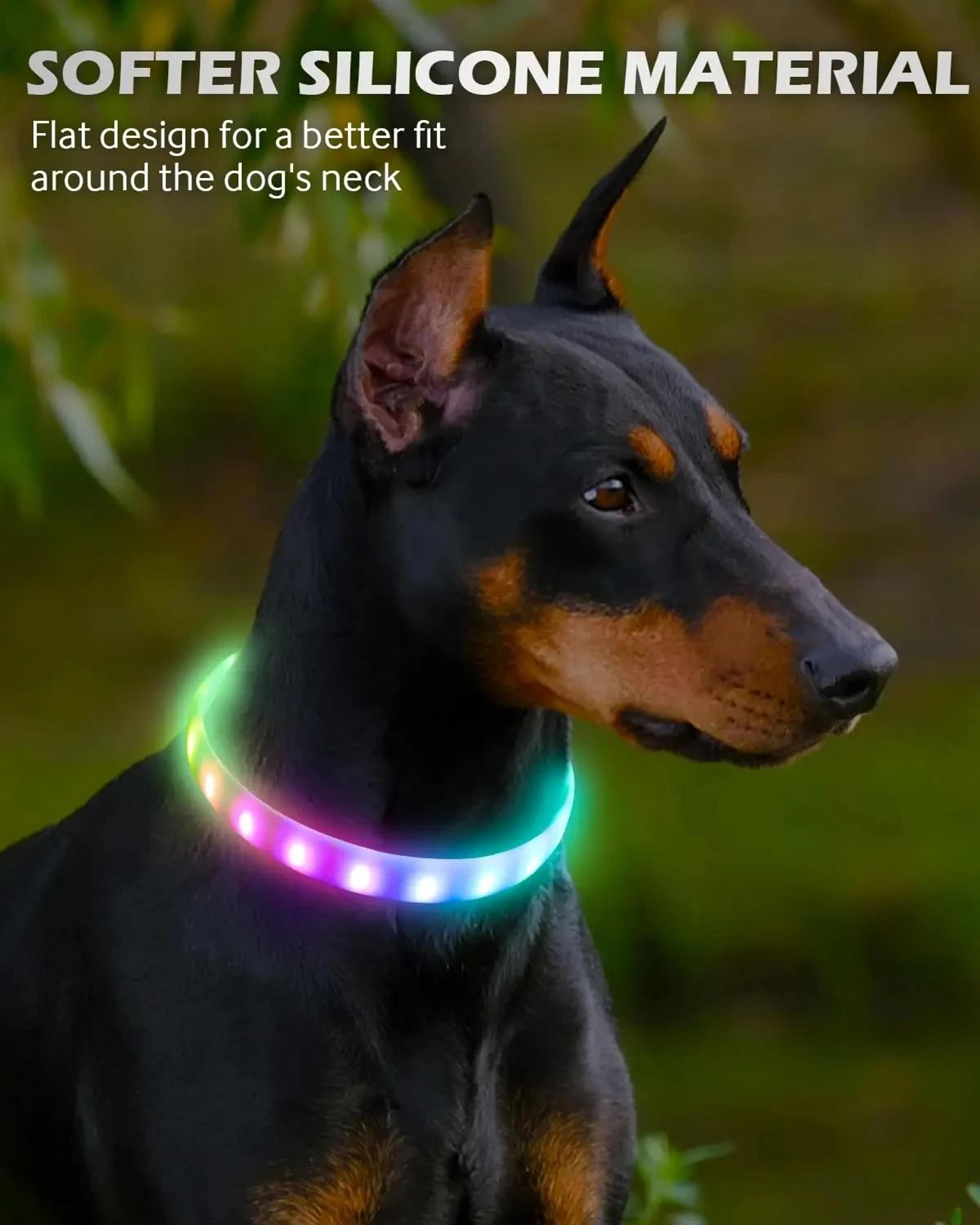 Professional RGB Discolor Glowing Pet Safety Collar 1