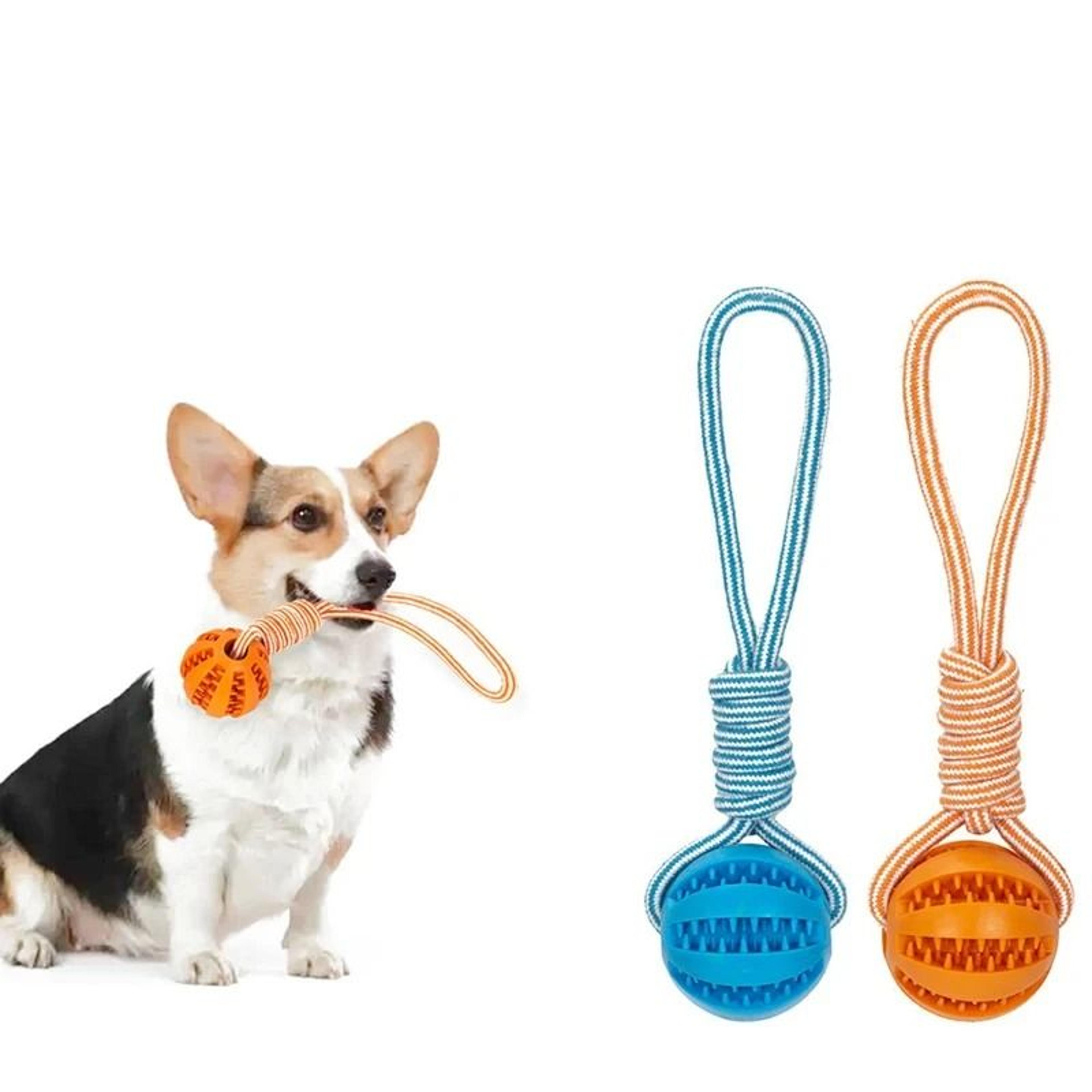 Professional Rubber Interactive TreatDispensing Ball 5