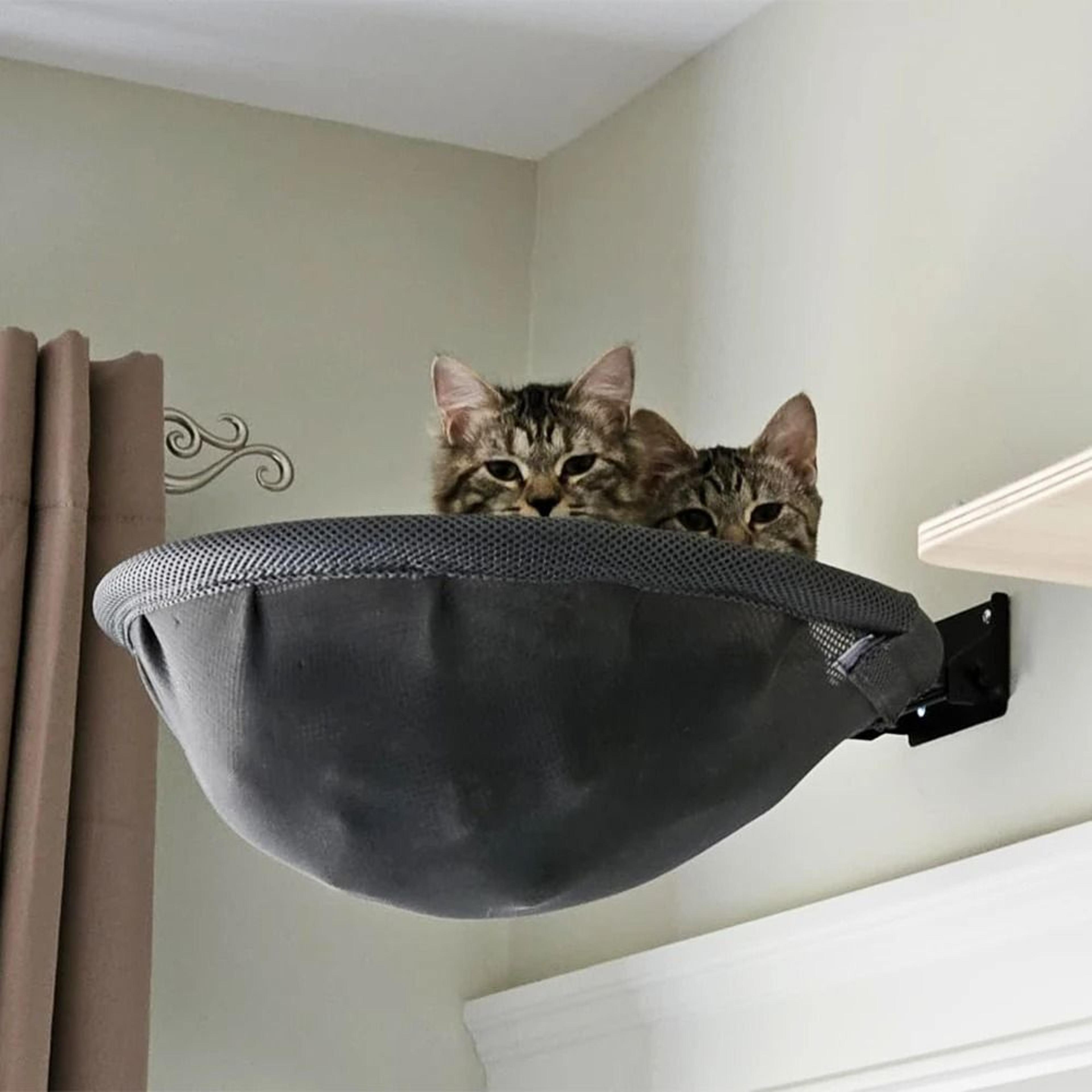 Professional WallMounted Foldable Cat Hammock 1