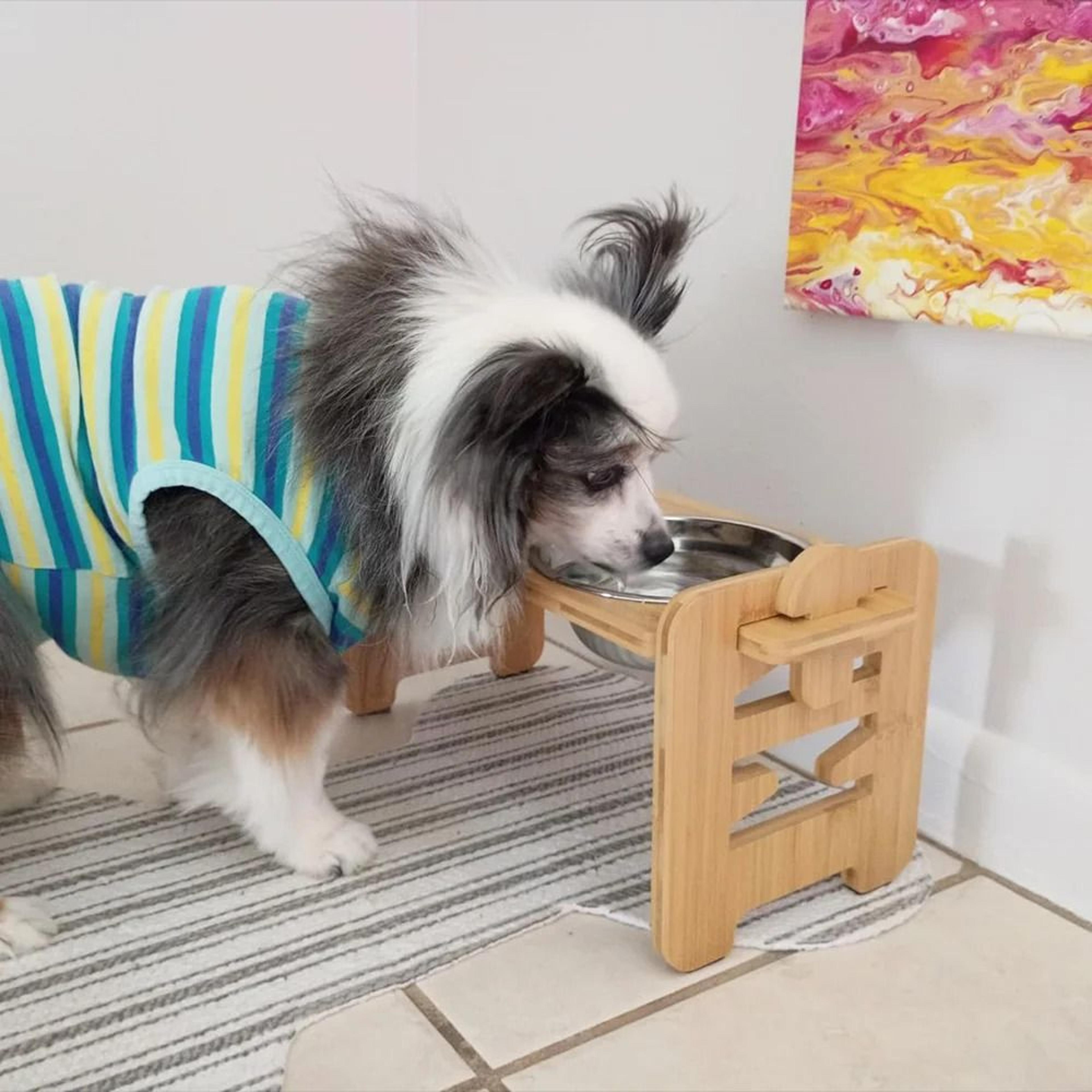 Professional Adjustable Wooden Raised Pet Feeding Station 1