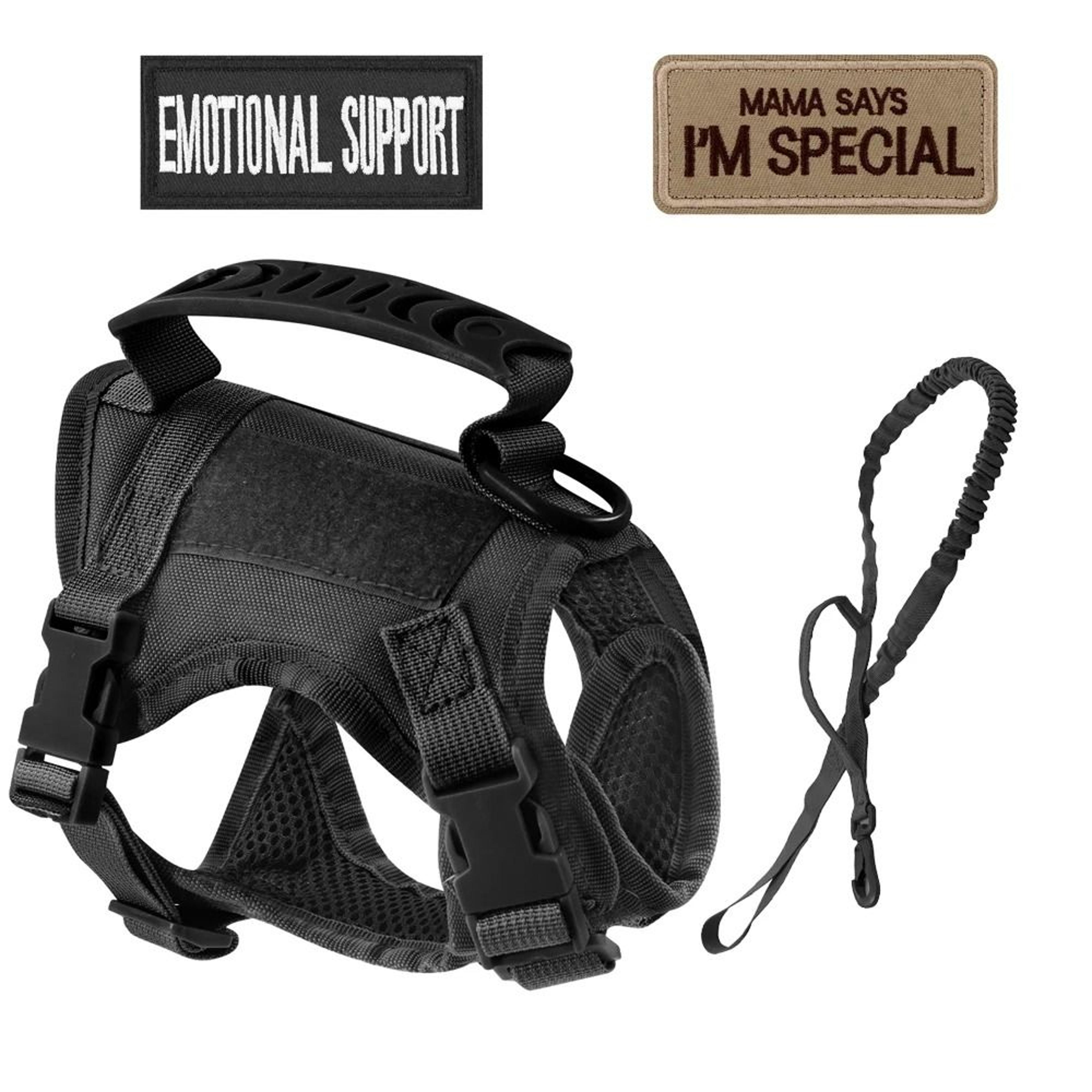 Professional Tactical Nylon Cat And Small Dog Harness  Leash Kit 9