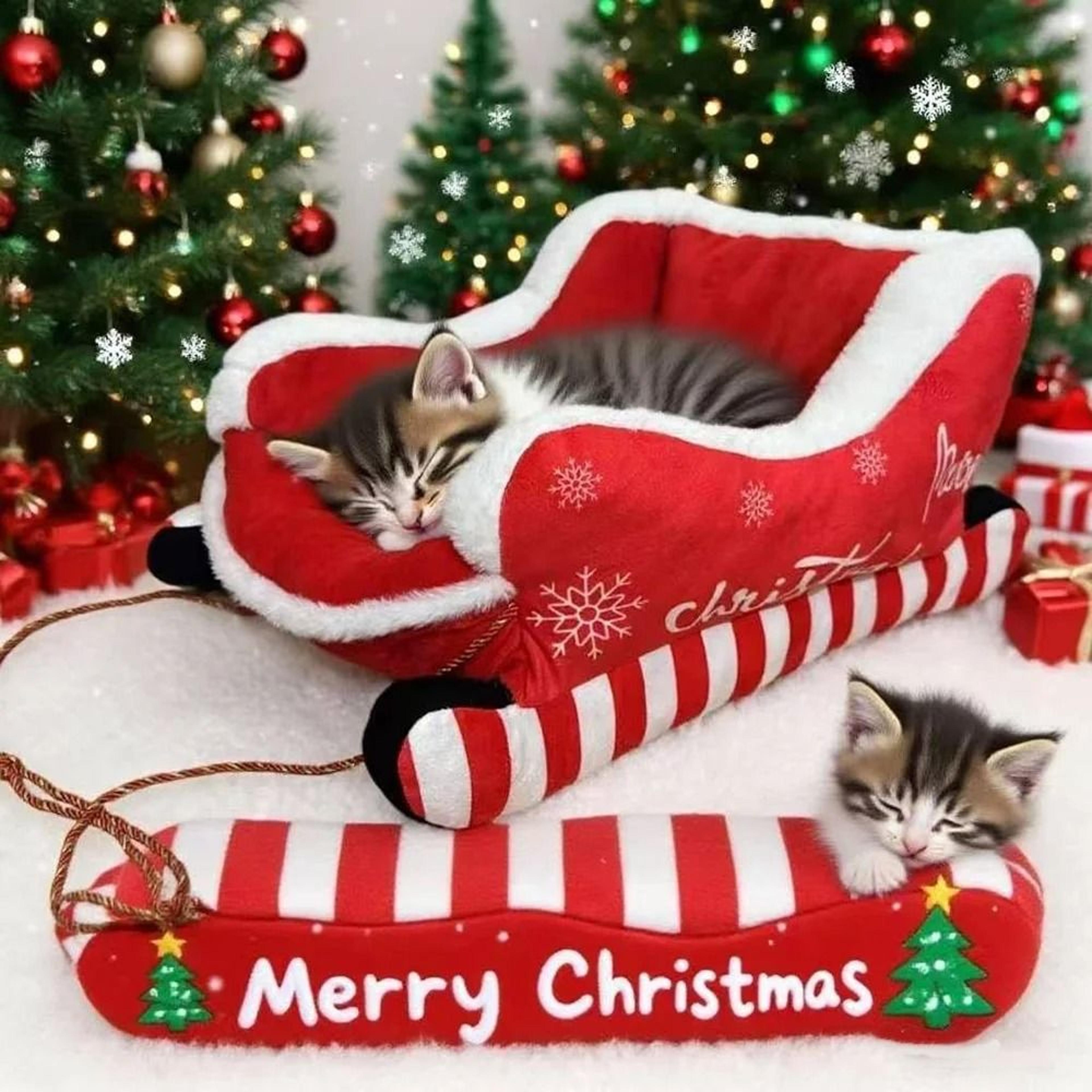 Christmas Sleigh Festive Plush Pet Bed 4