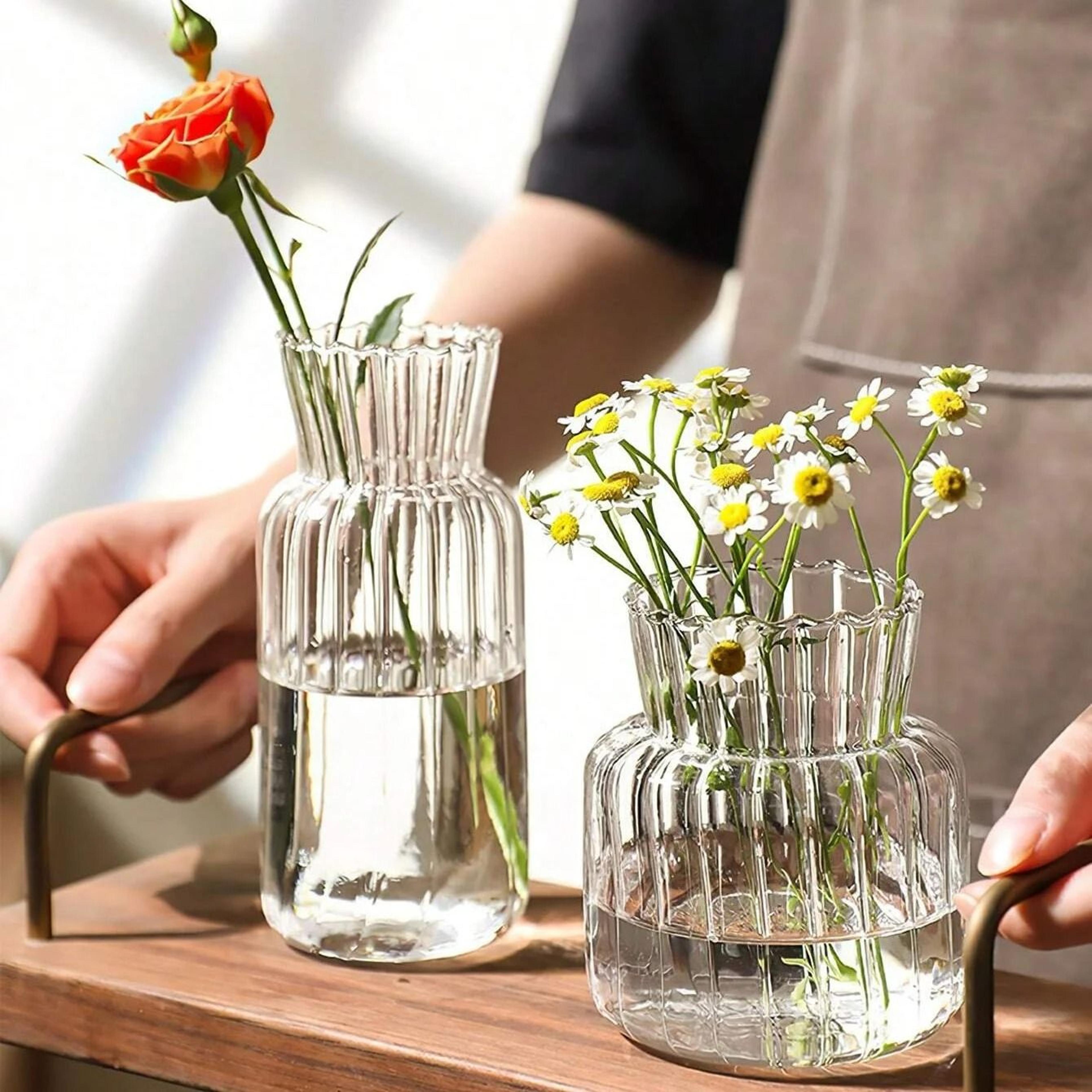 Nordic High Borosilicate Glass Hydroponic Terrarium 1