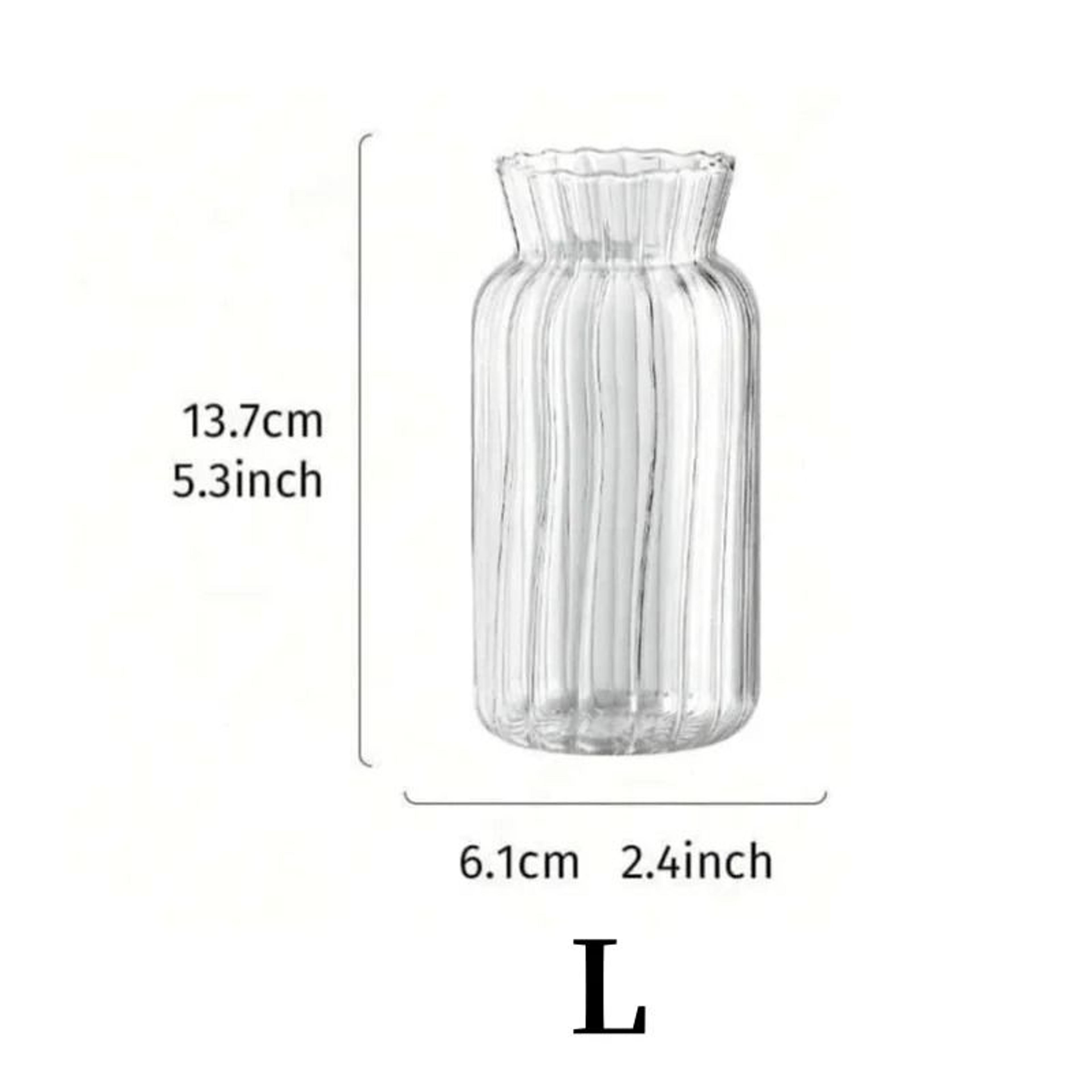 Nordic High Borosilicate Glass Hydroponic Terrarium 7