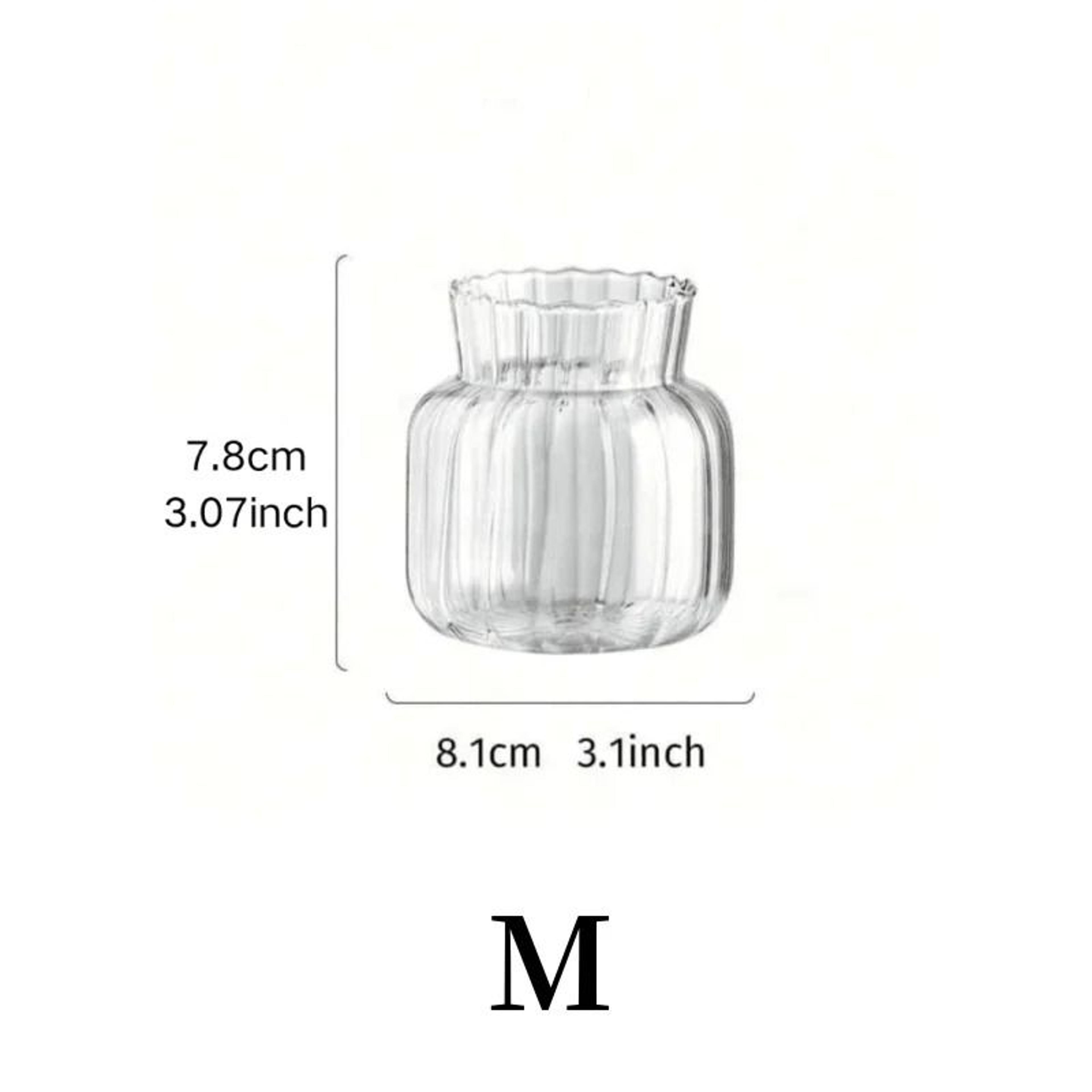 Nordic High Borosilicate Glass Hydroponic Terrarium 8