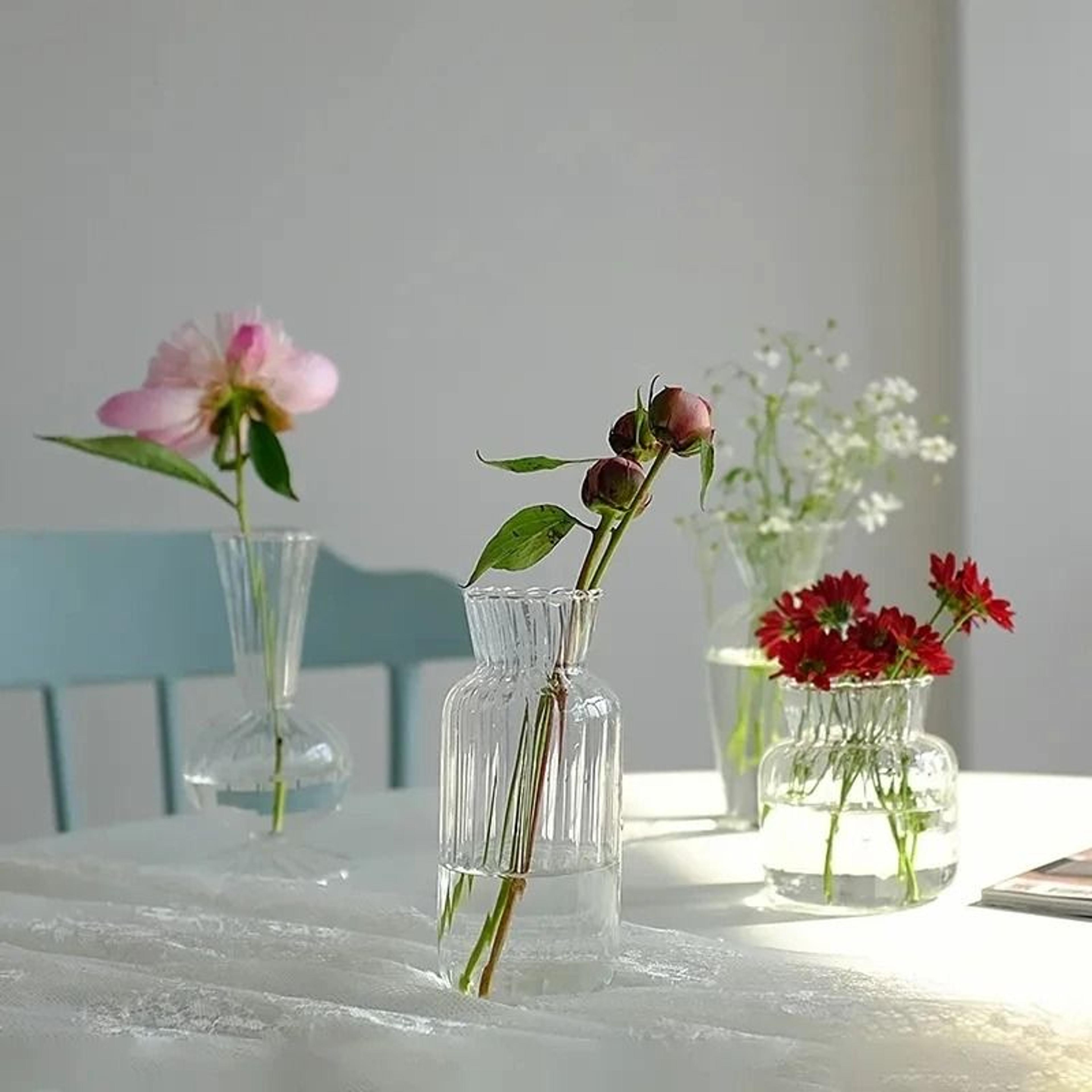 Nordic Creative Transparent Glass Hydroponic Terrarium 2