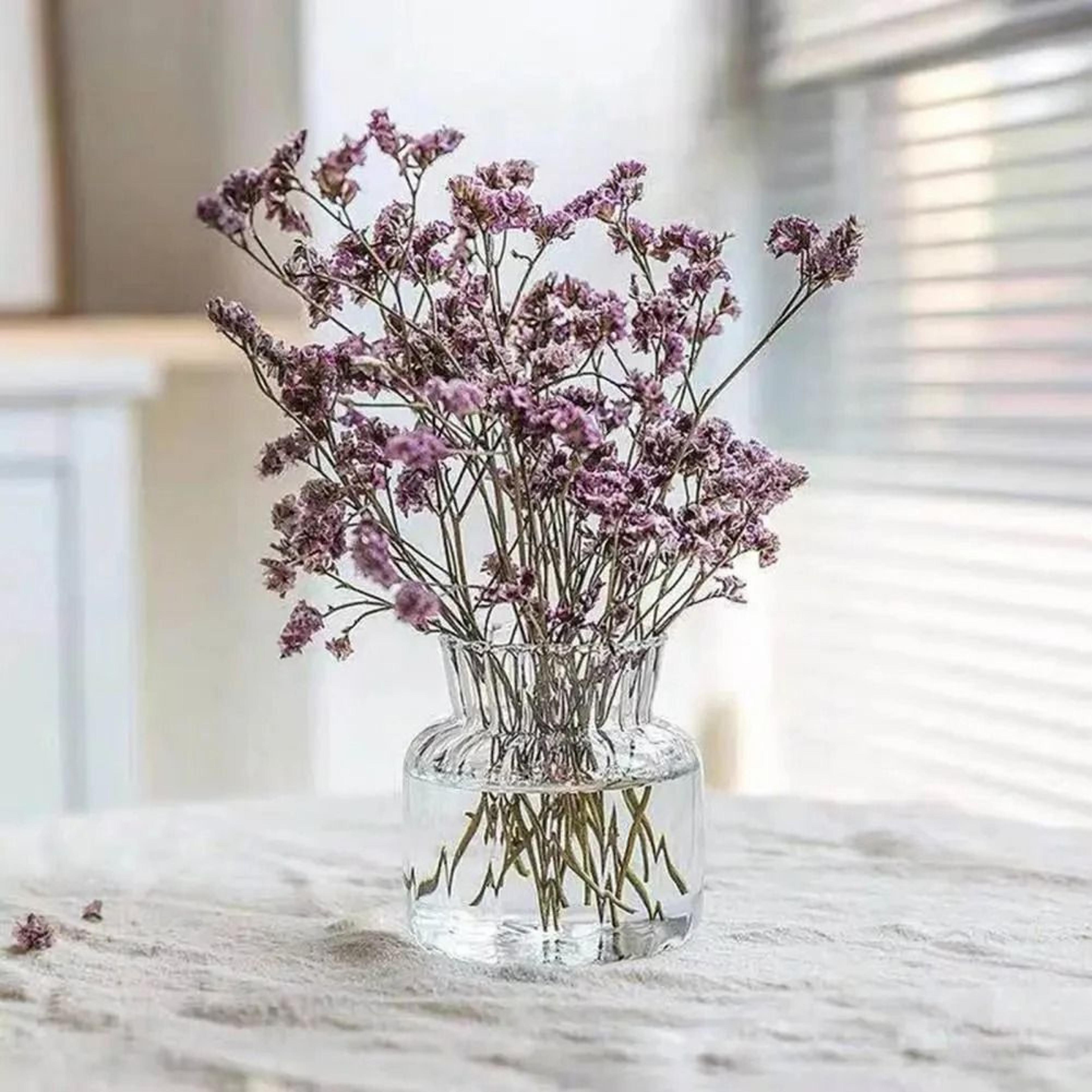 Nordic Creative Transparent Glass Hydroponic Terrarium 5