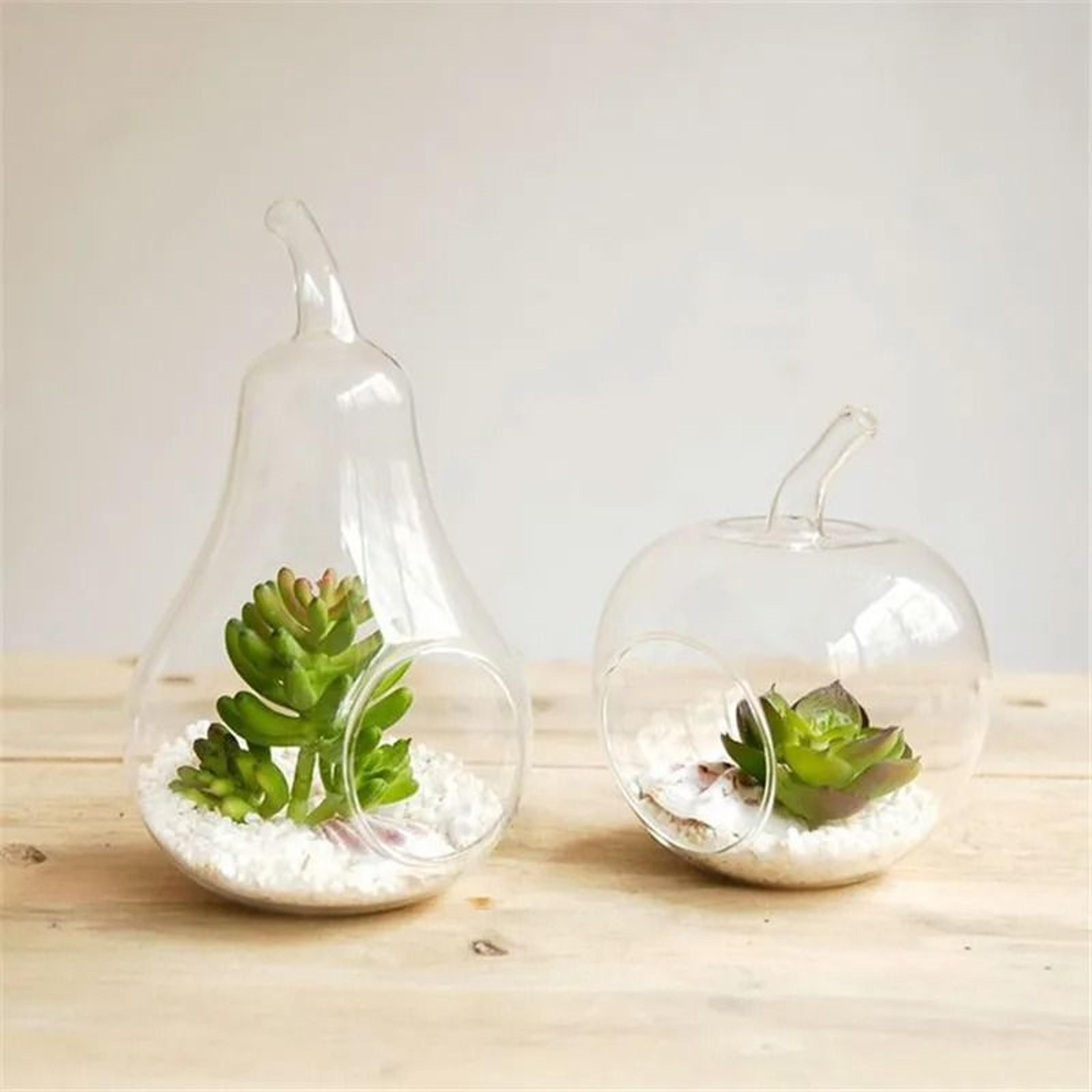Apple Pear Fruit Planter Tabletop Vase 1
