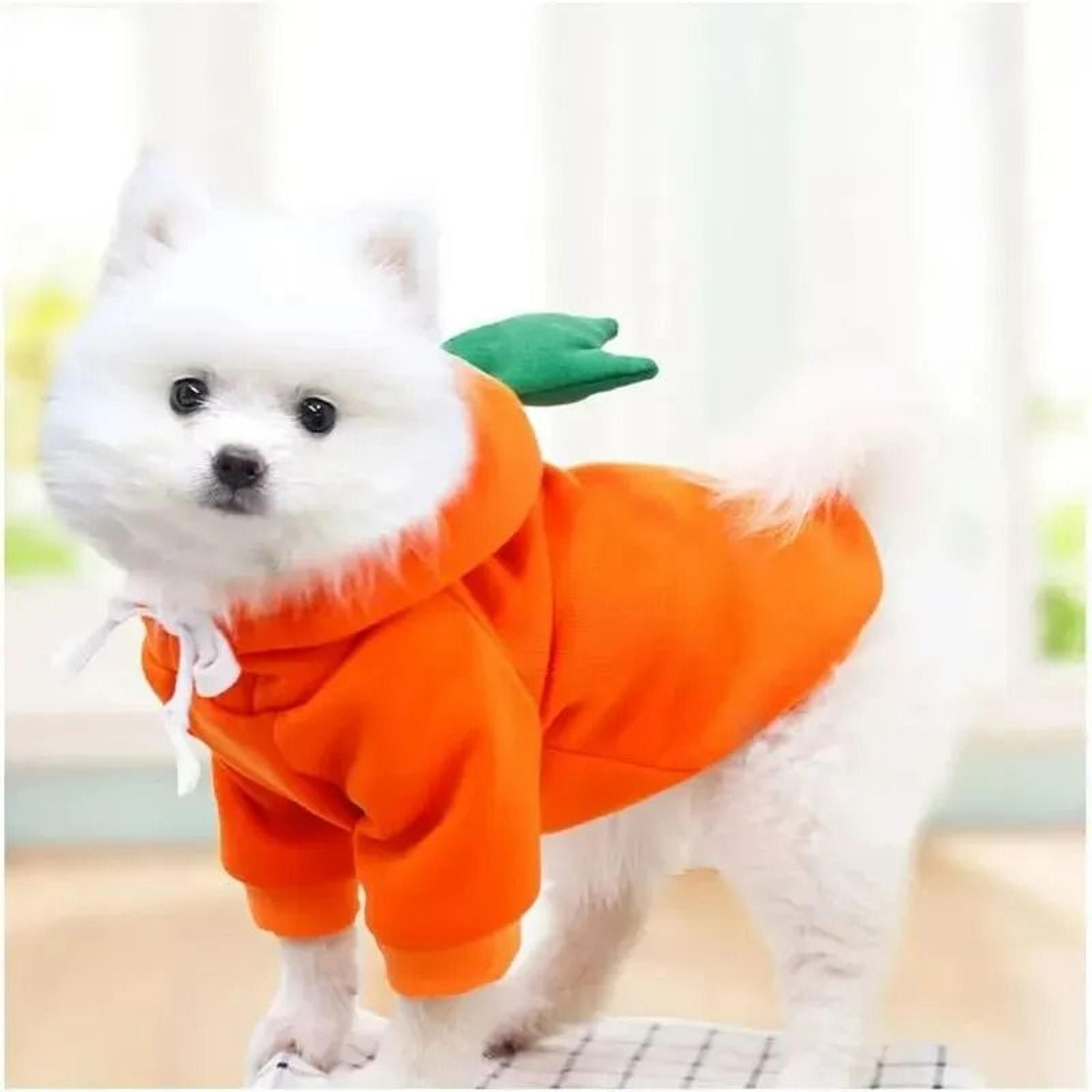 Cute Carrot Dog Hoodie  Warm Fleece Puppy Sweater Coat 2