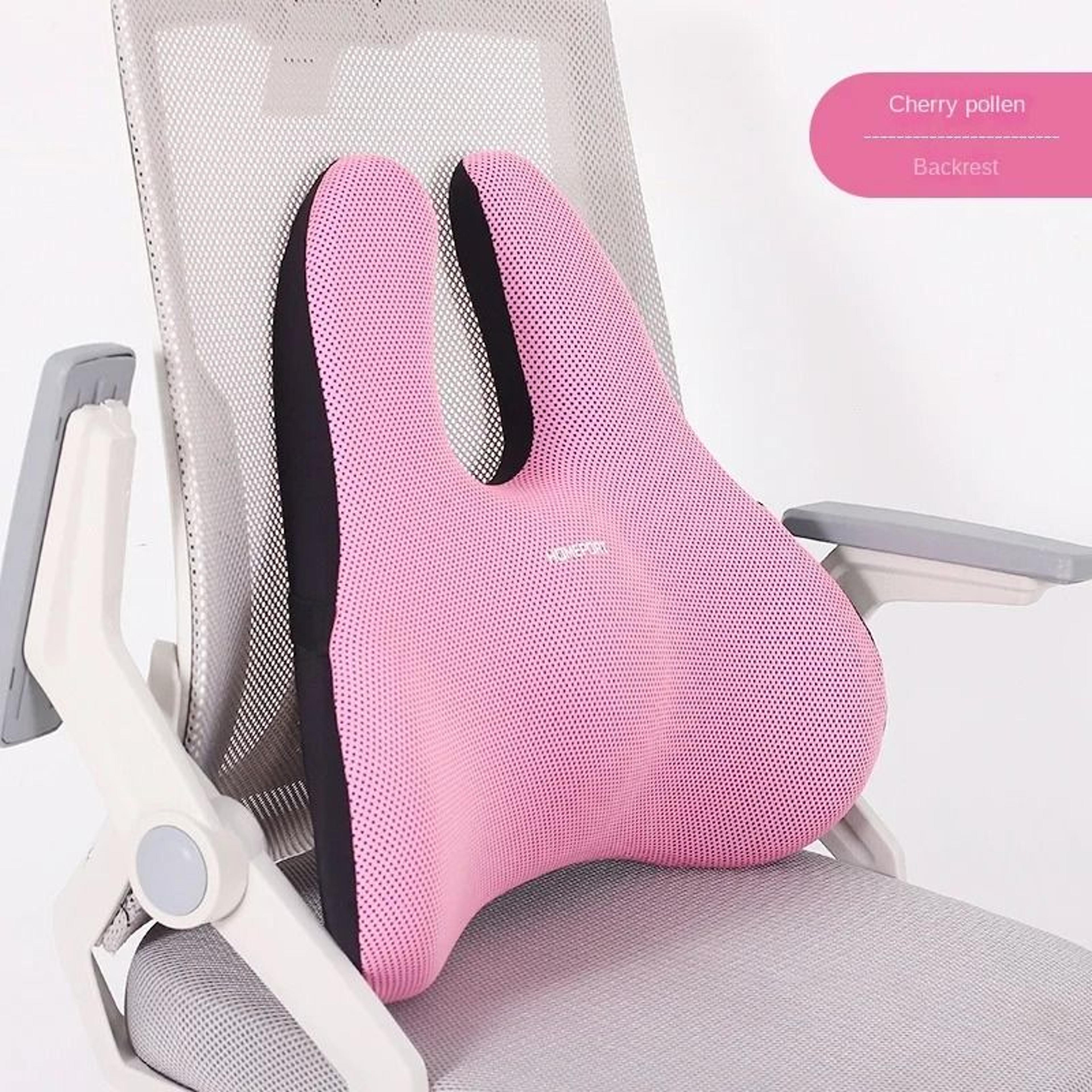 Orthopedic Memory Foam Seat  Back Set  Complete Coccyx  Lumbar Support 6