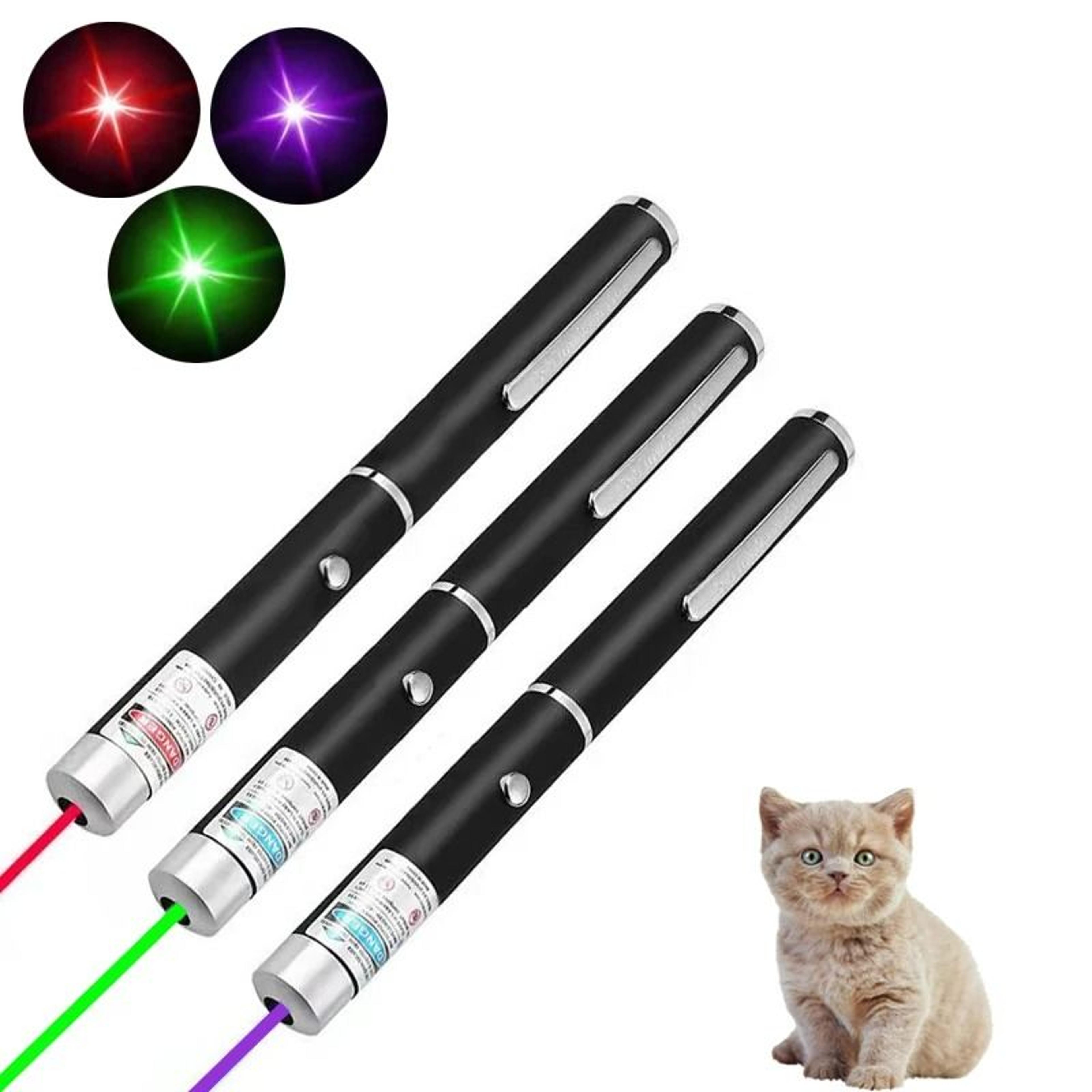 2in1 Mini Laser Pointer  LED Pet Trainer 1