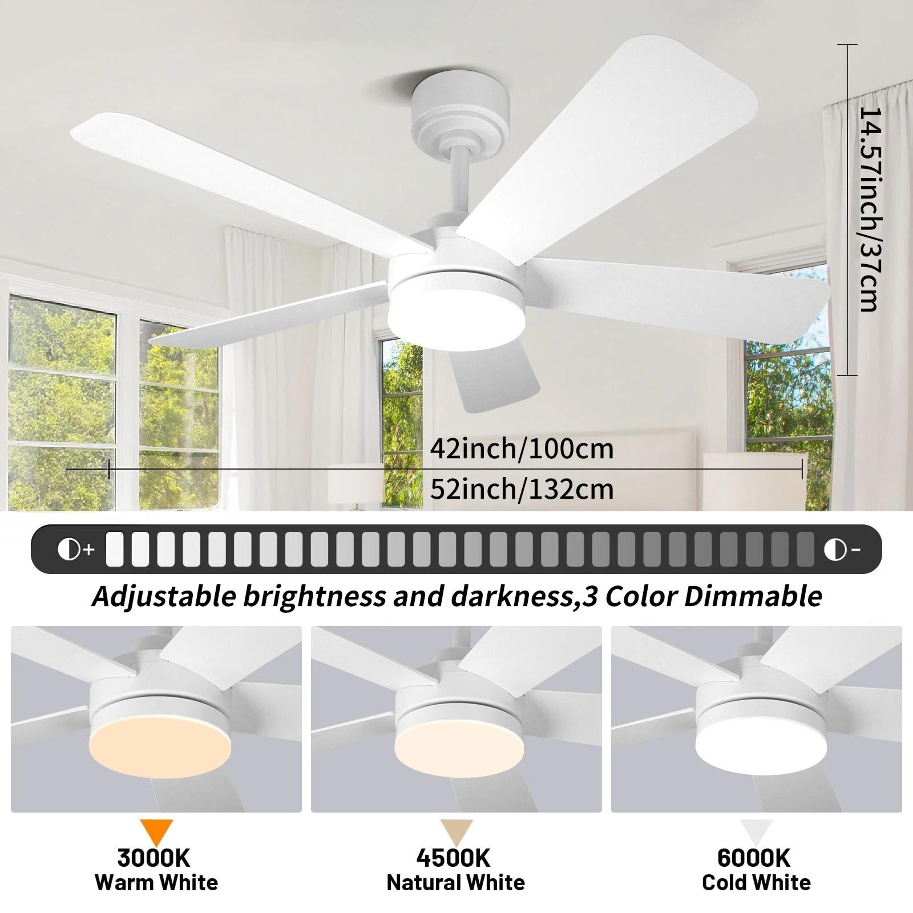 Modern Black Ceiling Fan Chandelier 2