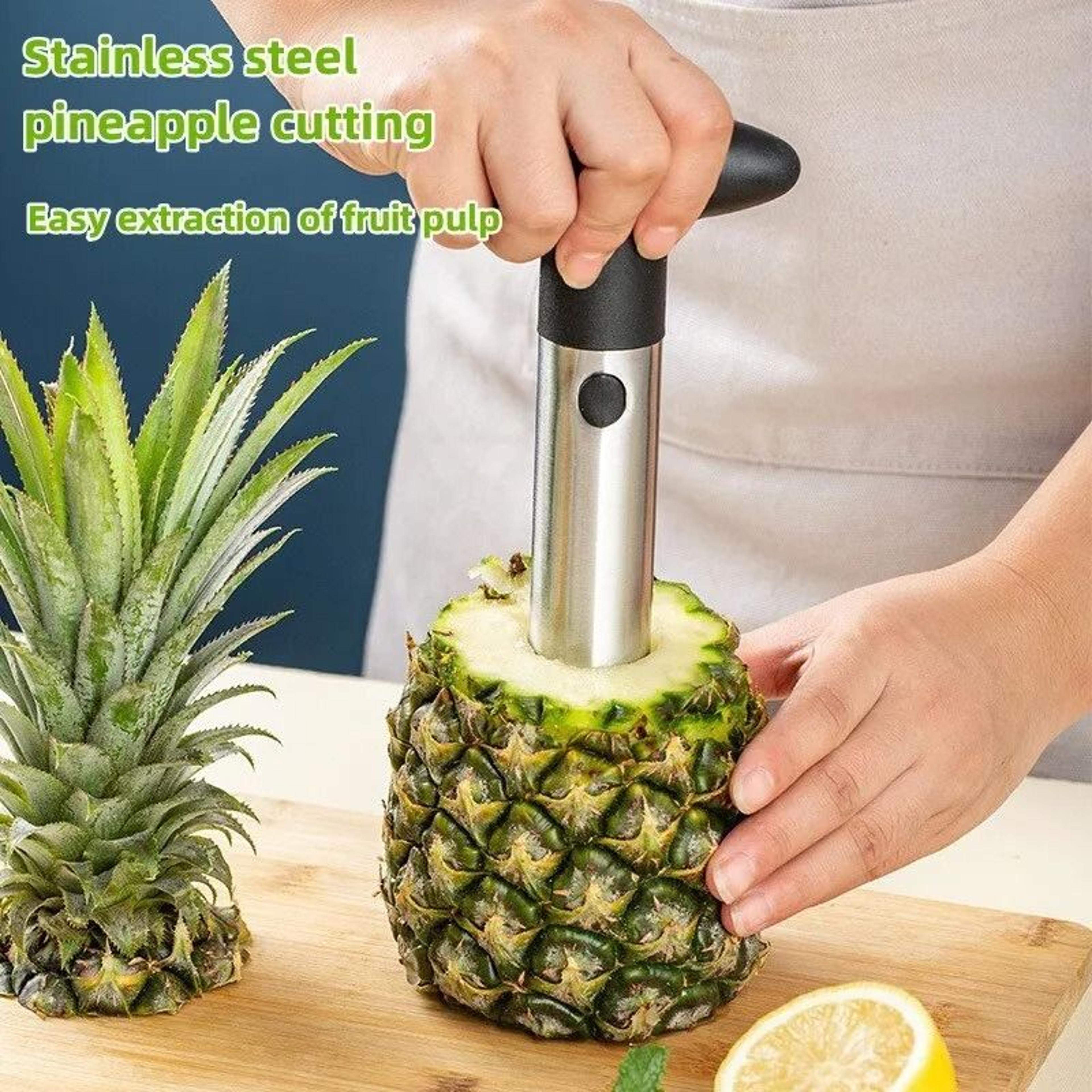 Stainless Steel Pineapple Slicer  Peeler 1