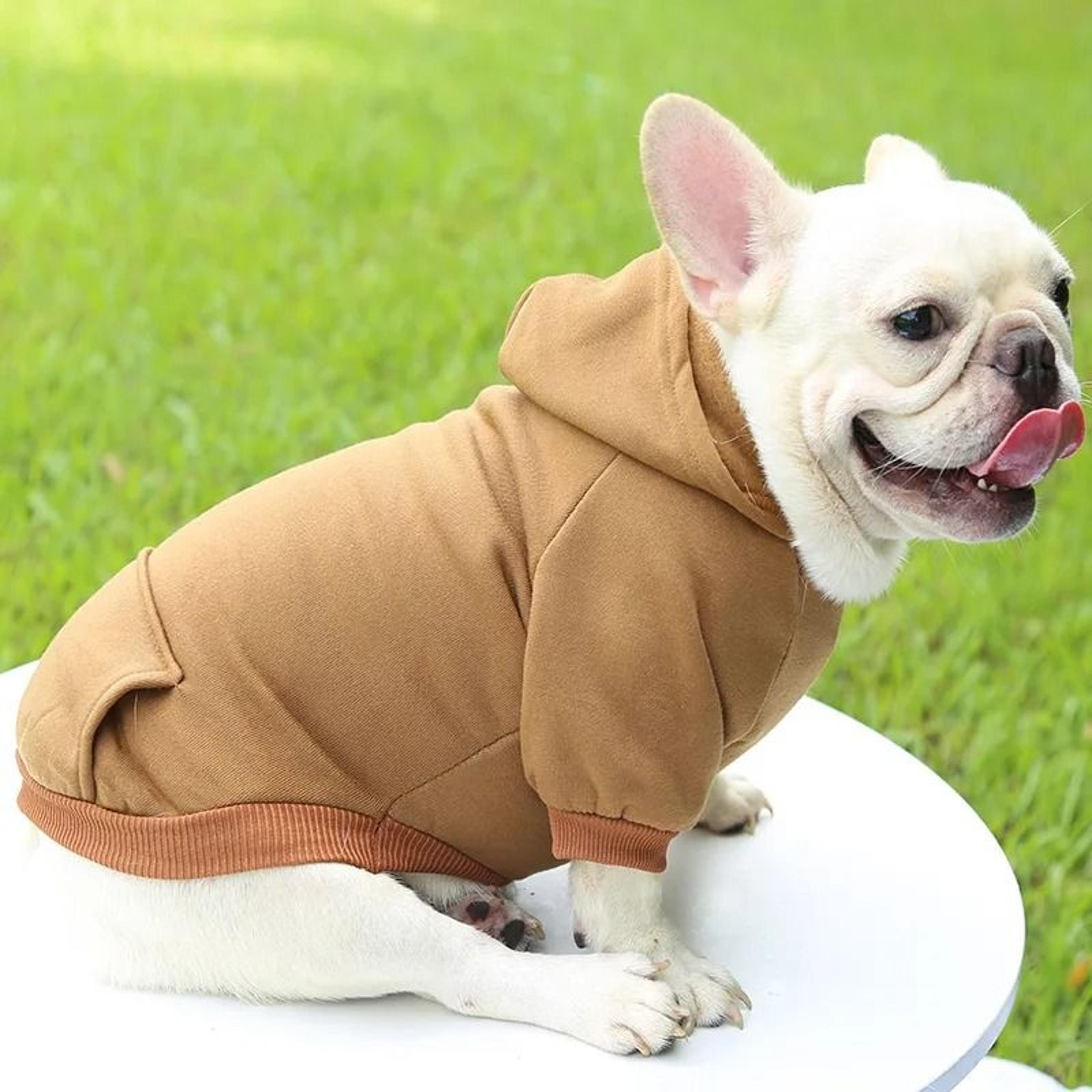 Pet Dog Hoodies 3