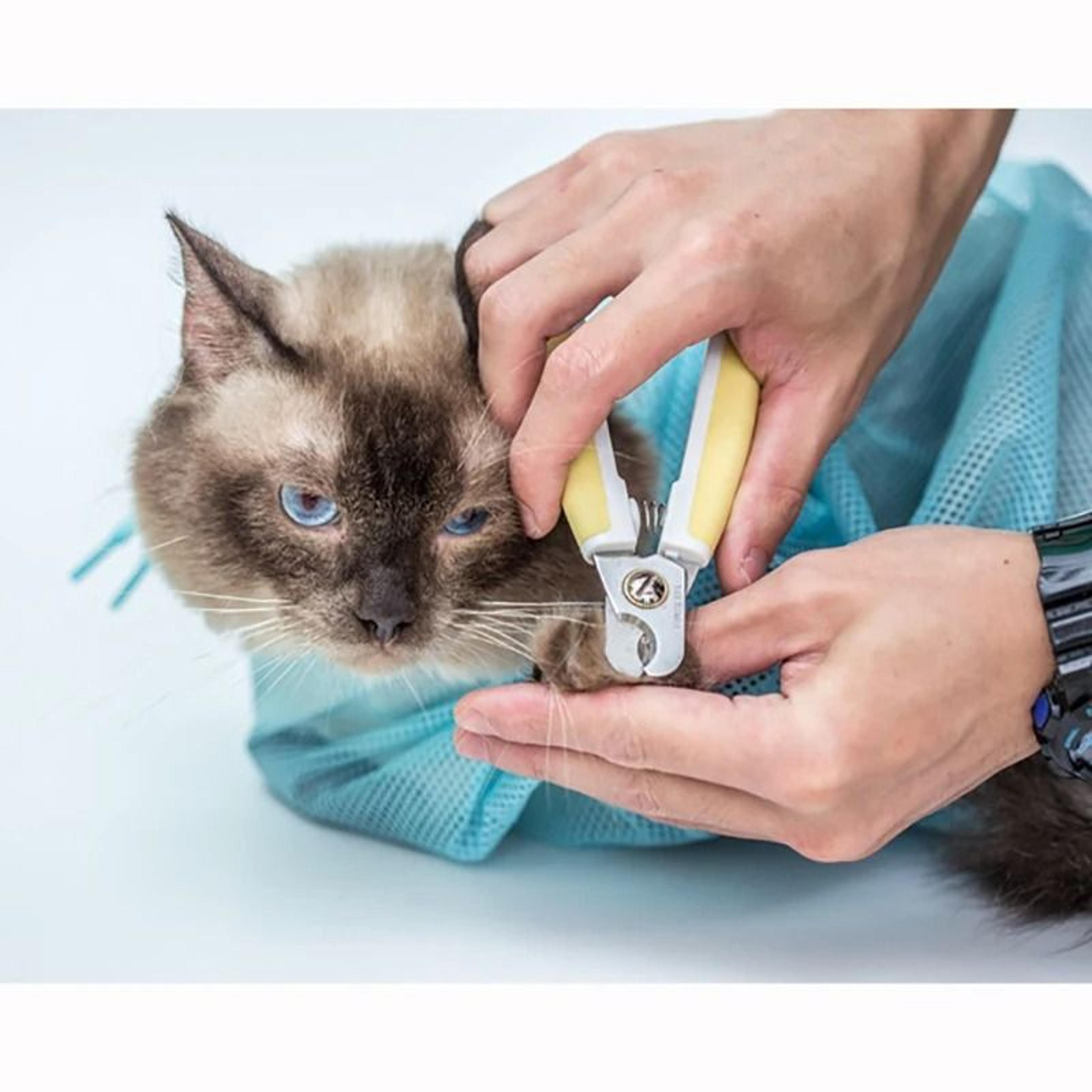 Mesh Cat Grooming  Bath Bag 4