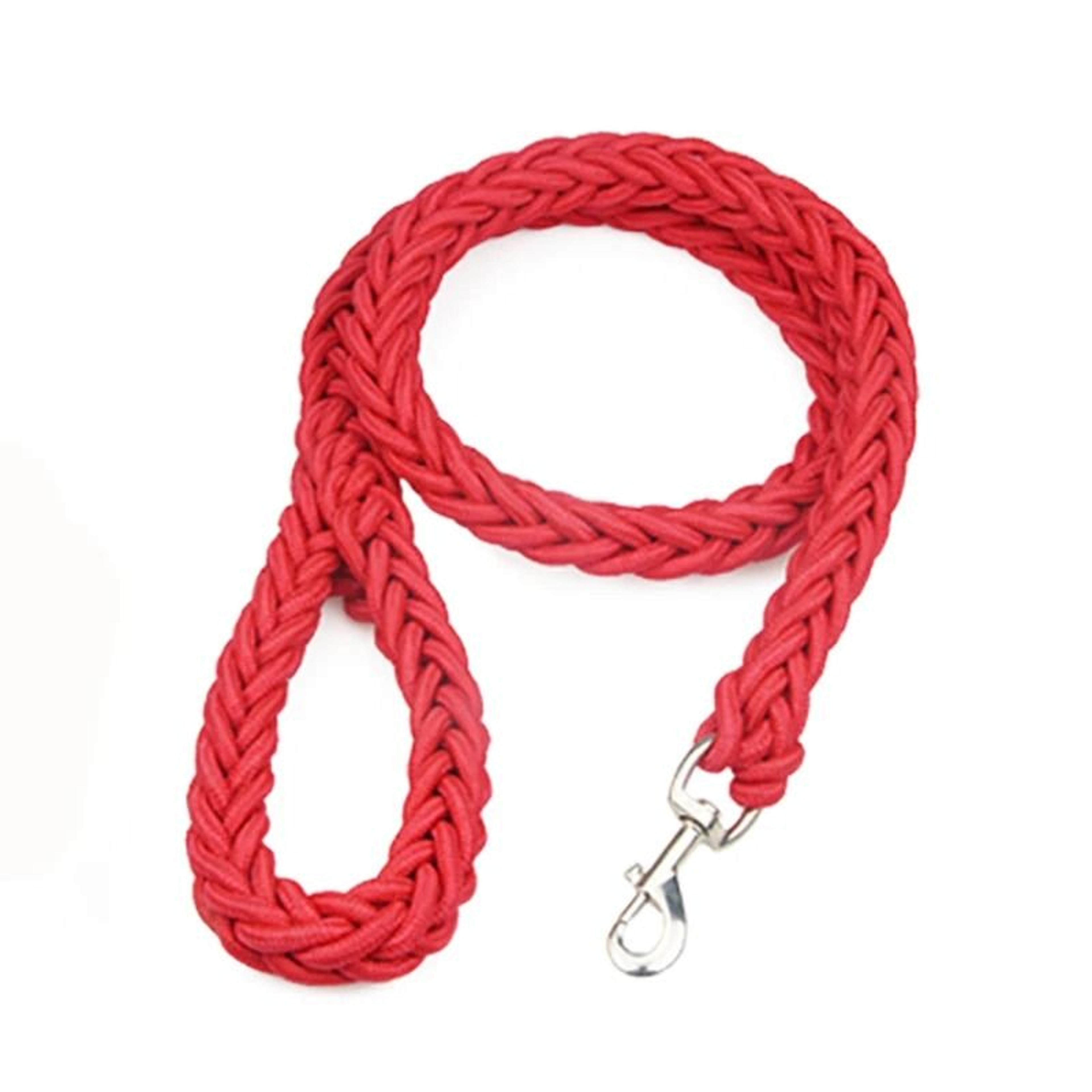 Nylon Mountain Climbing Dog Leash 3