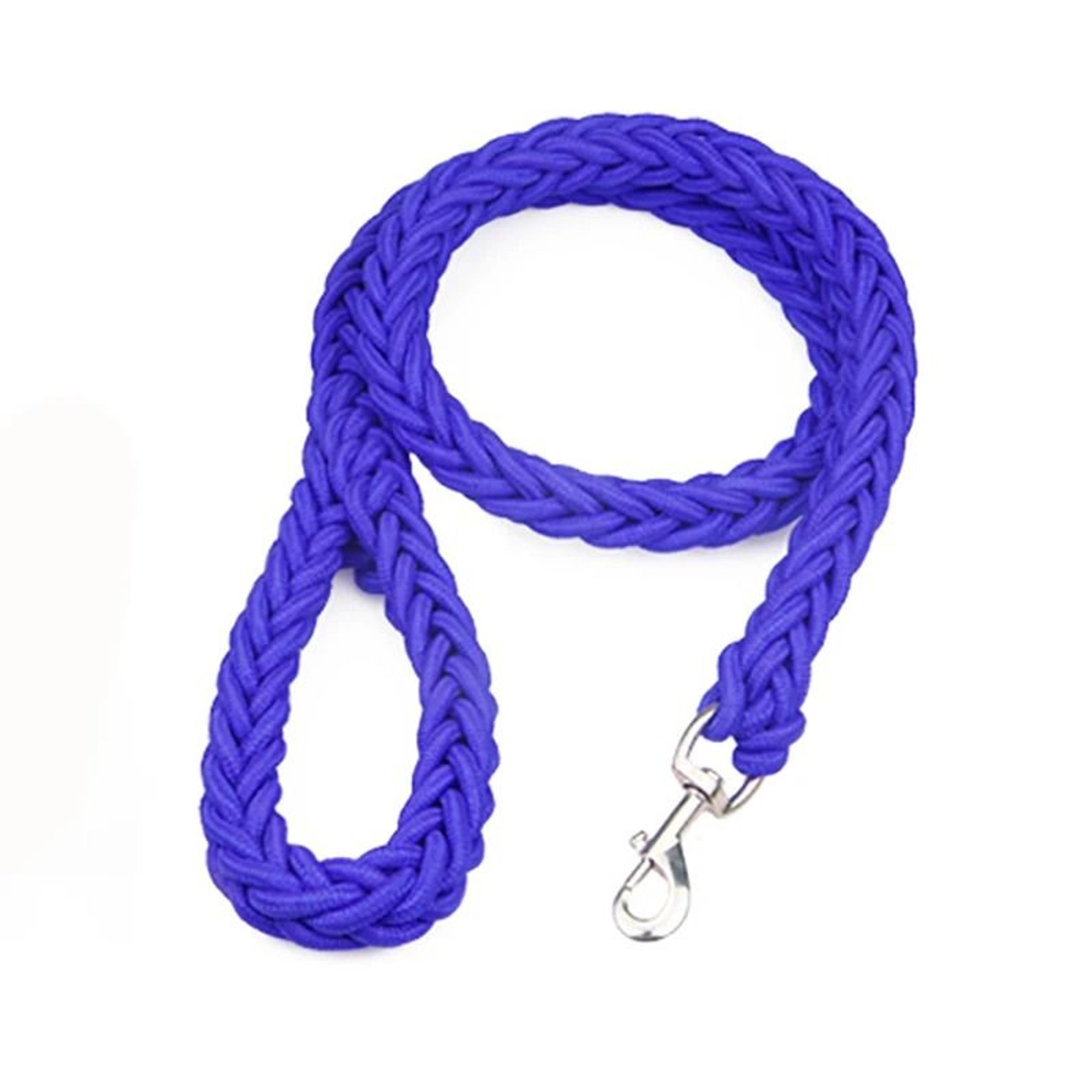 Nylon Mountain Climbing Dog Leash 7