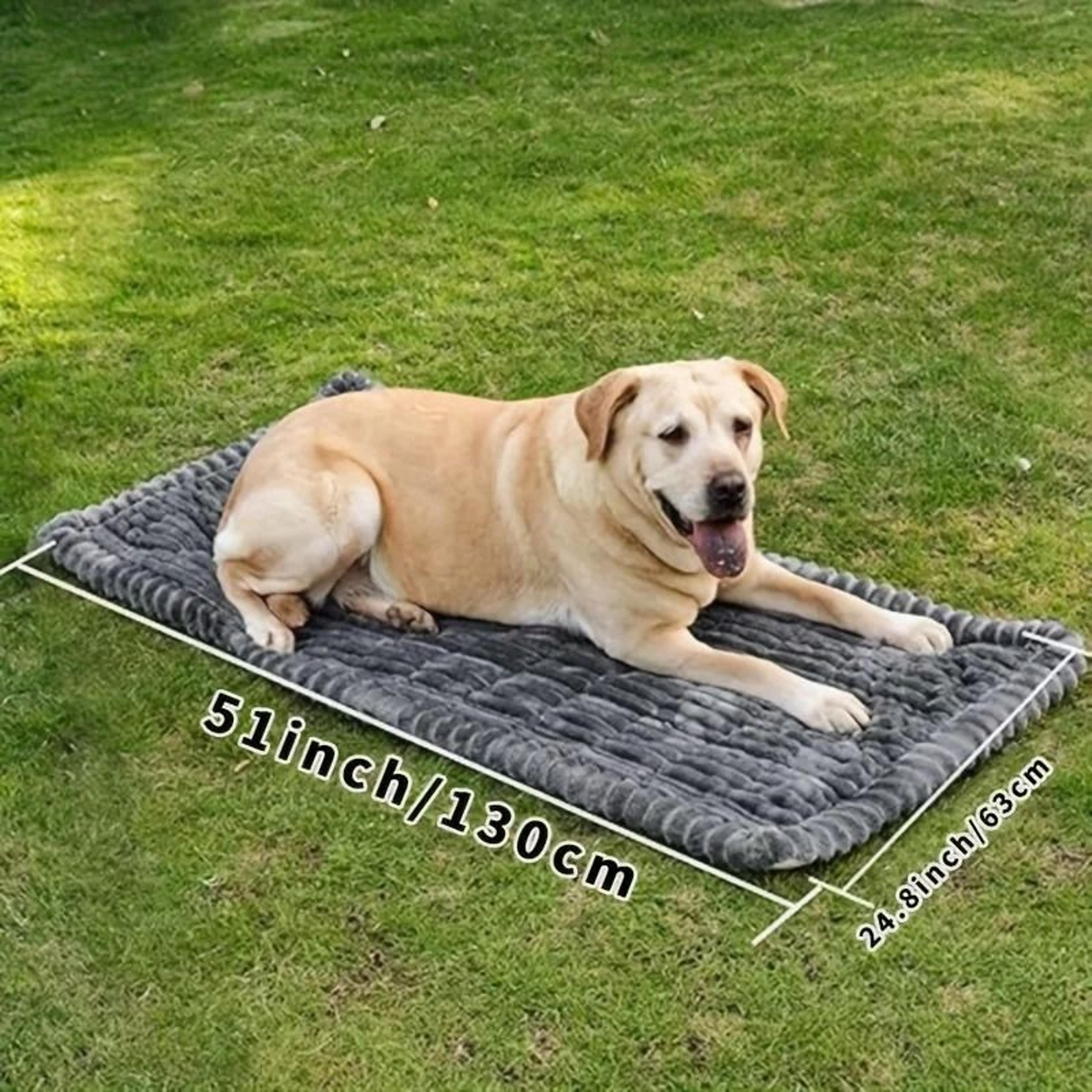 Universal HardBottom Dog Car Protector  HeavyDuty AntiSlip  AntiBite Travel Mat 0