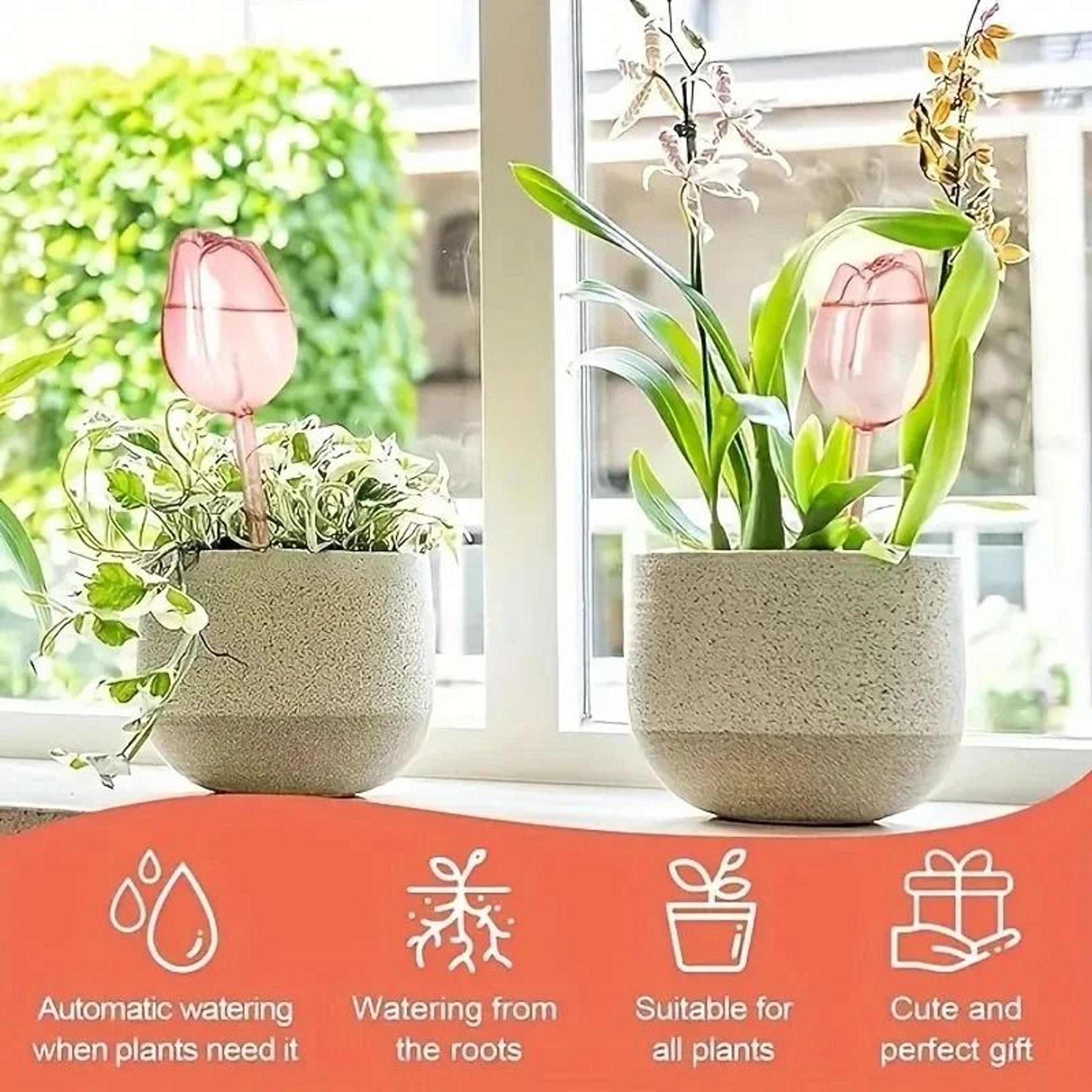 Tulip Watering Globes For Plants  Automatic SelfWatering System For Indoor  Outdoor Use 2