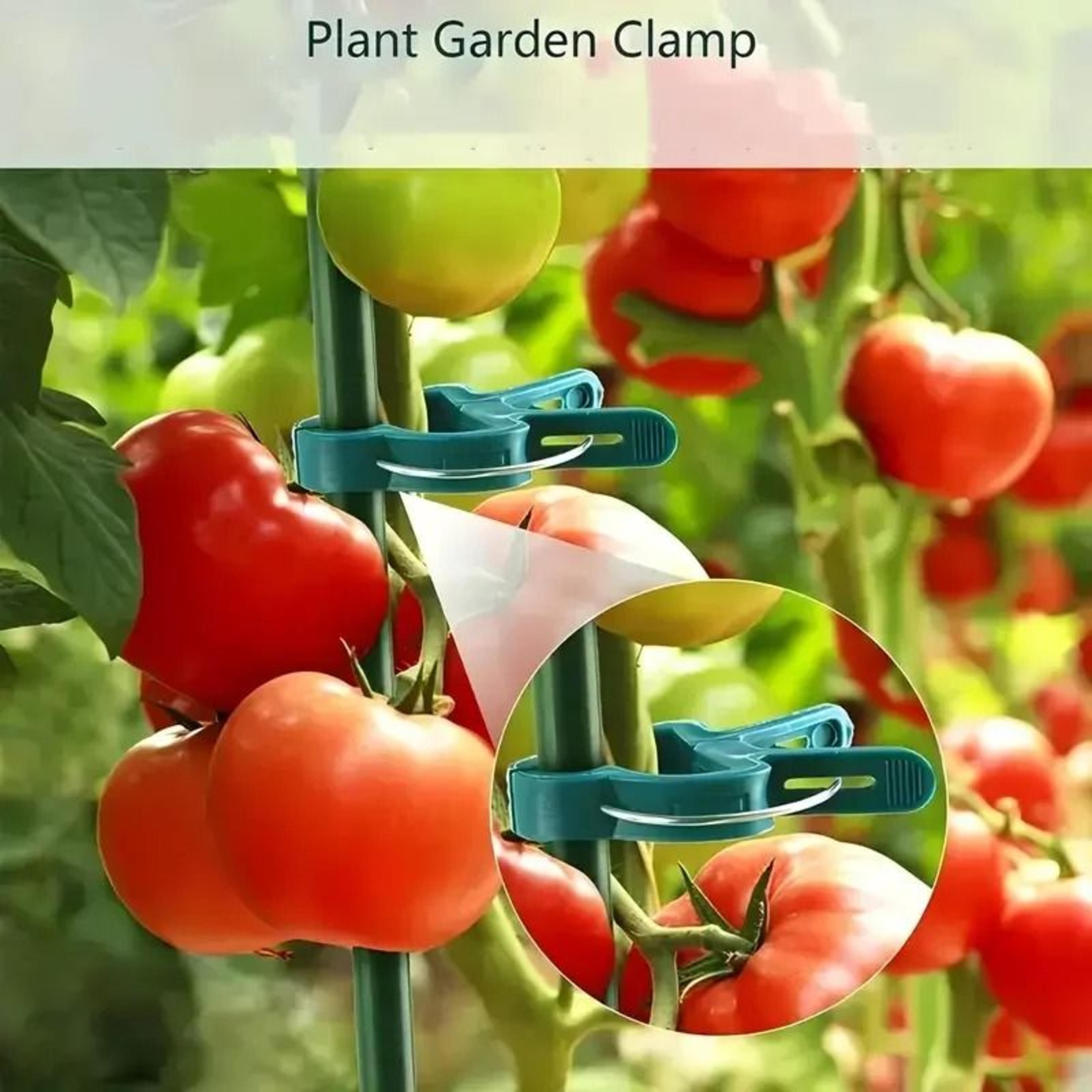 20pcs Adjustable Plant Clips  Reusable Garden Supports For Vines Tomatoes  Flowers 3