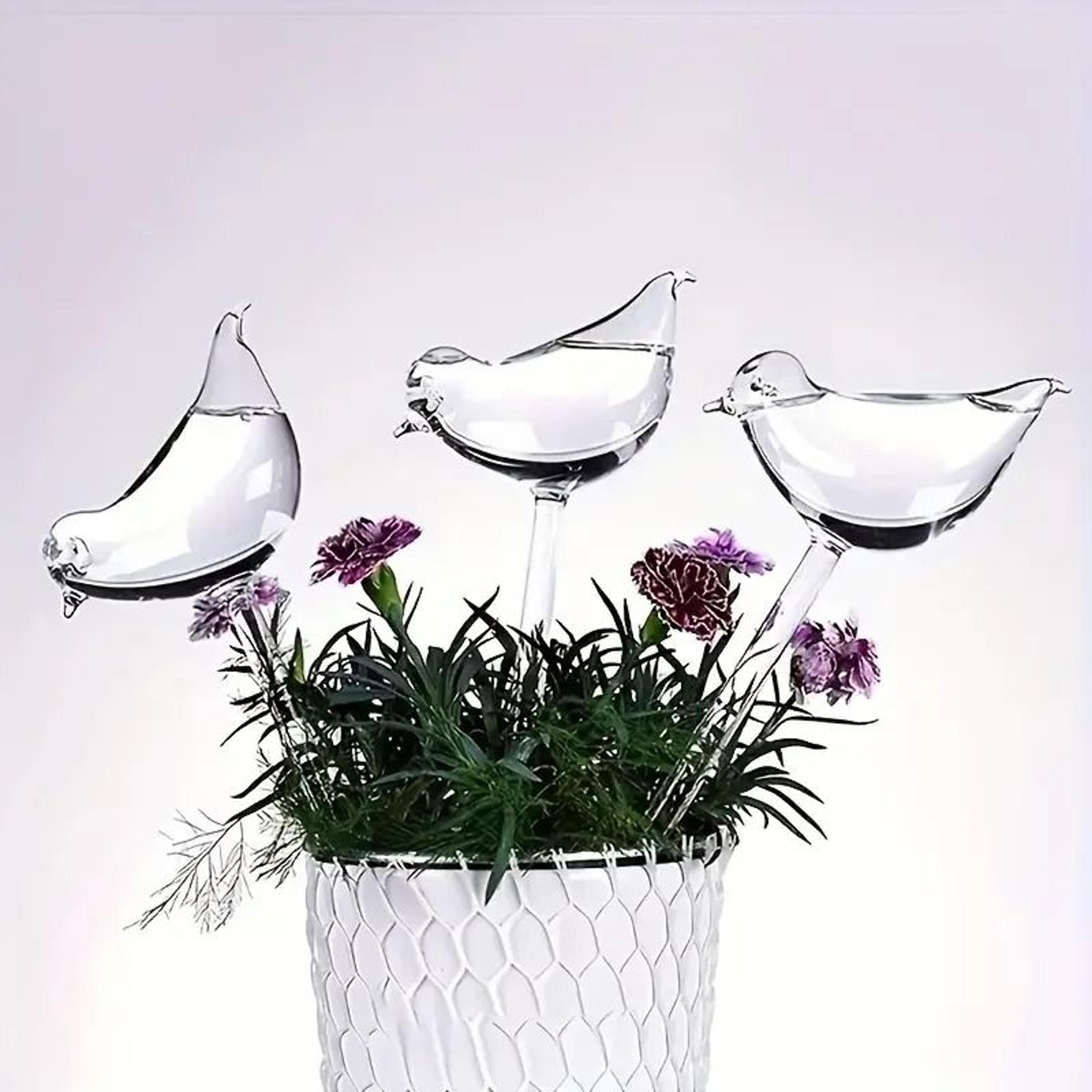 SelfWatering Bird Globes  Automatic Plant Hydration For Indoor  Outdoor Greenery 2