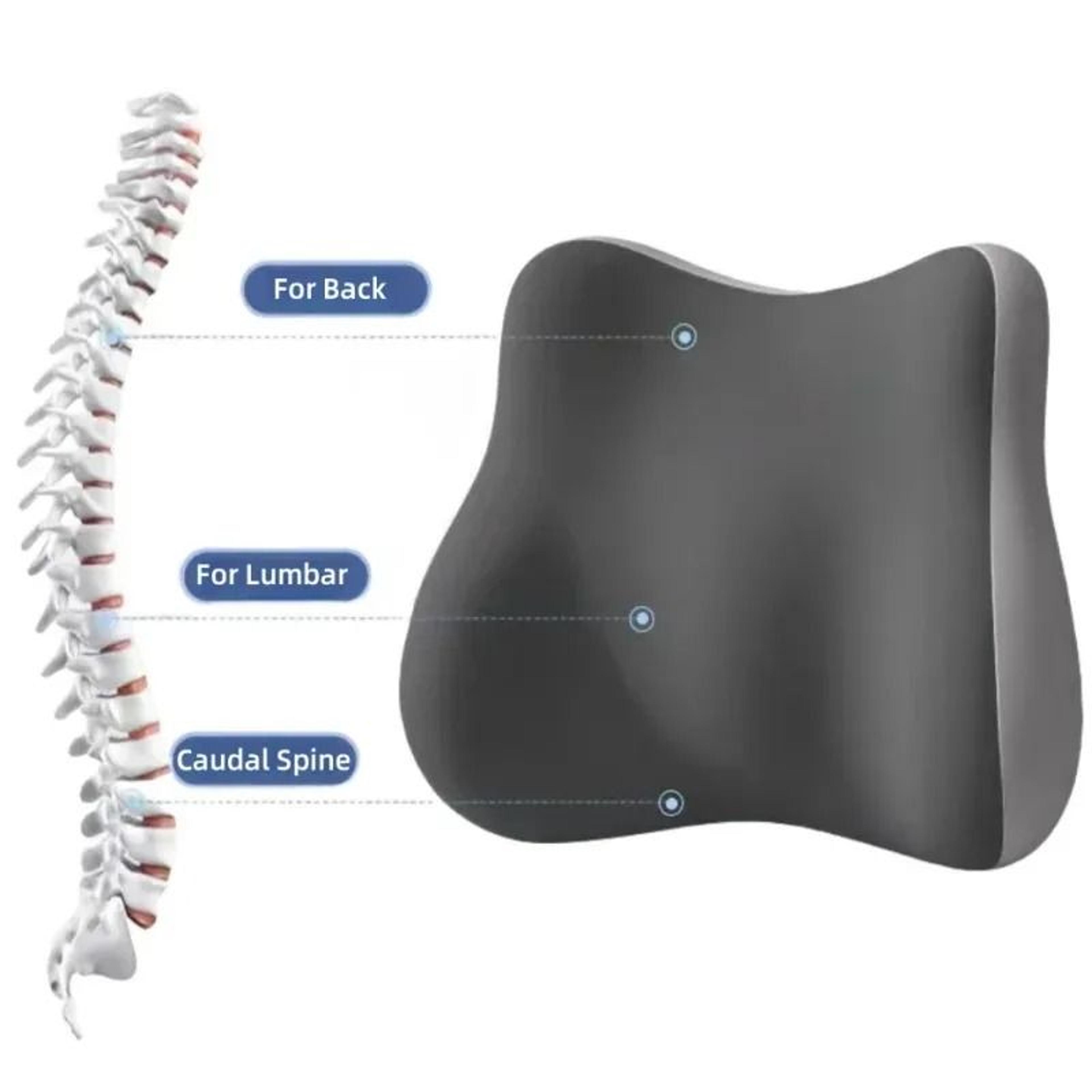 Ergonomic Memory Foam Lumbar Support  Spinal Correction Backrest For Office  Car 4