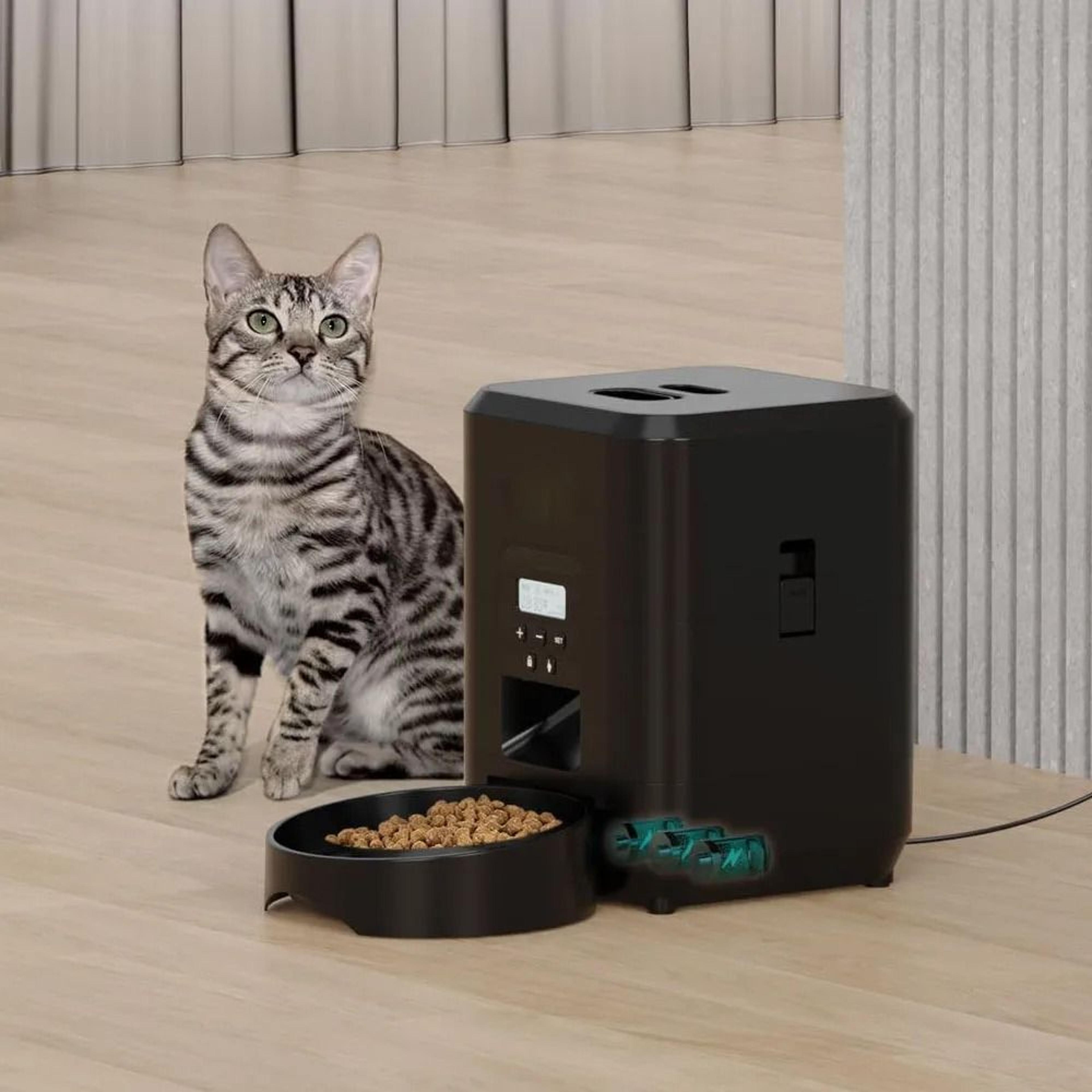 Smart Pet Feeder  Automatic Timed  Quantitative Food Dispenser For Cats And Dogs 1
