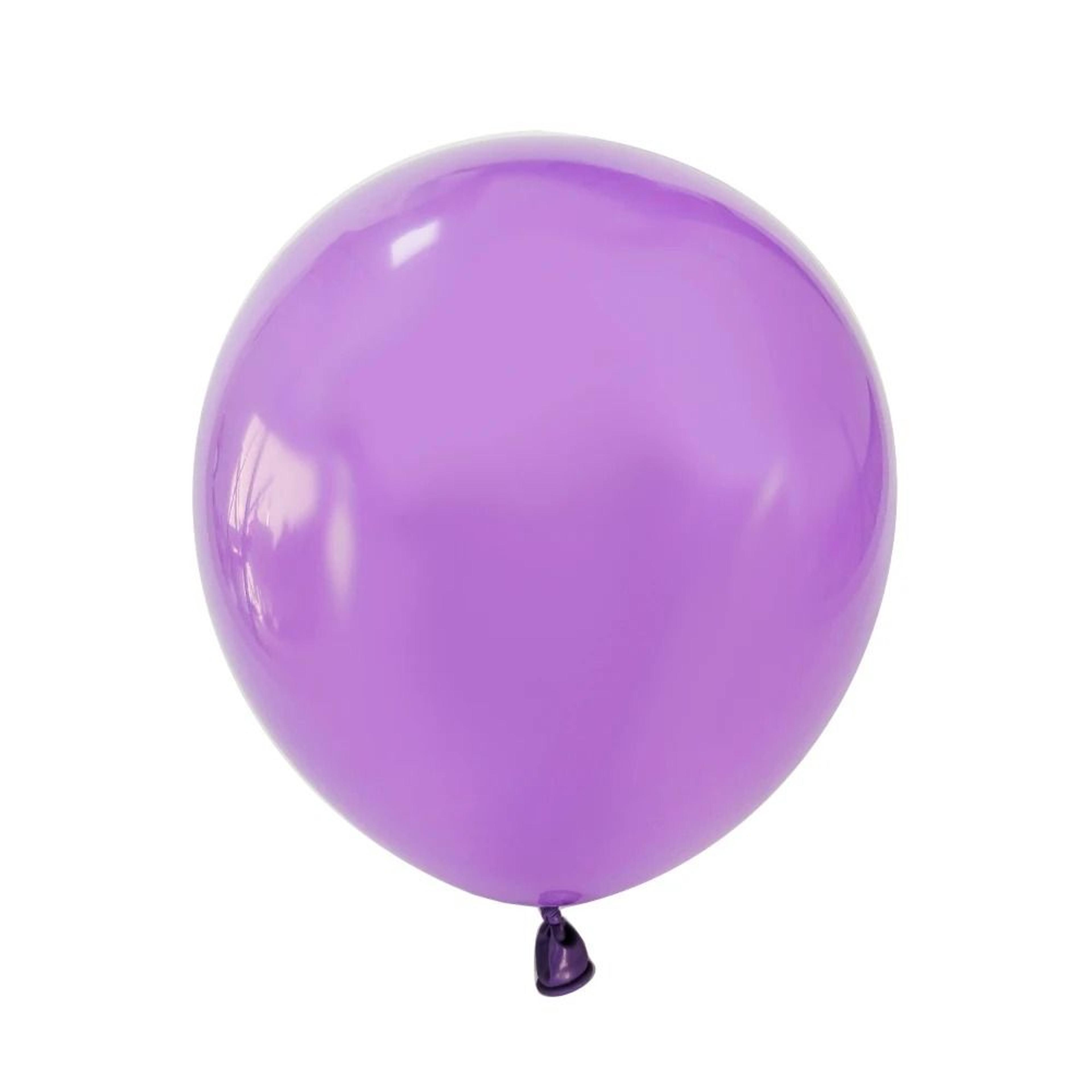 Premium Matte Latex Balloon Set  10Piece MultiSize Pack 18