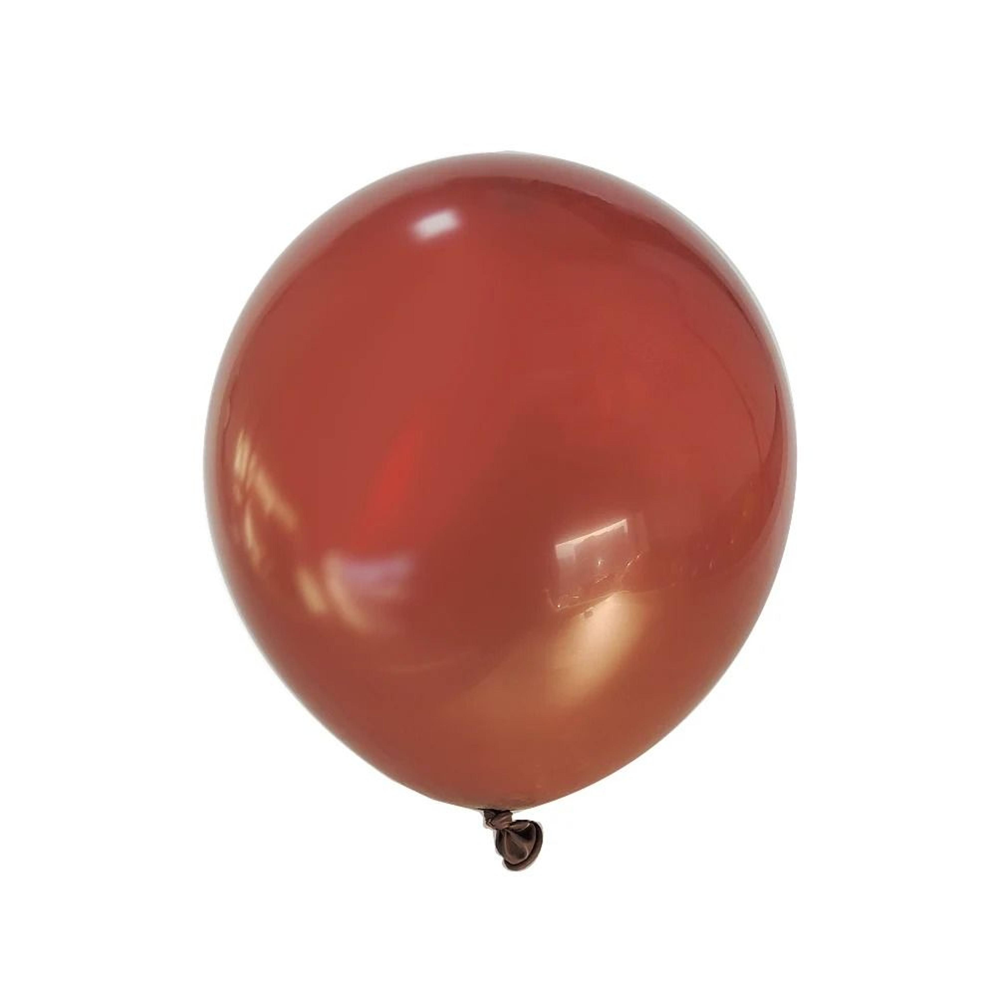 Premium Matte Latex Balloon Set  10Piece MultiSize Pack 22