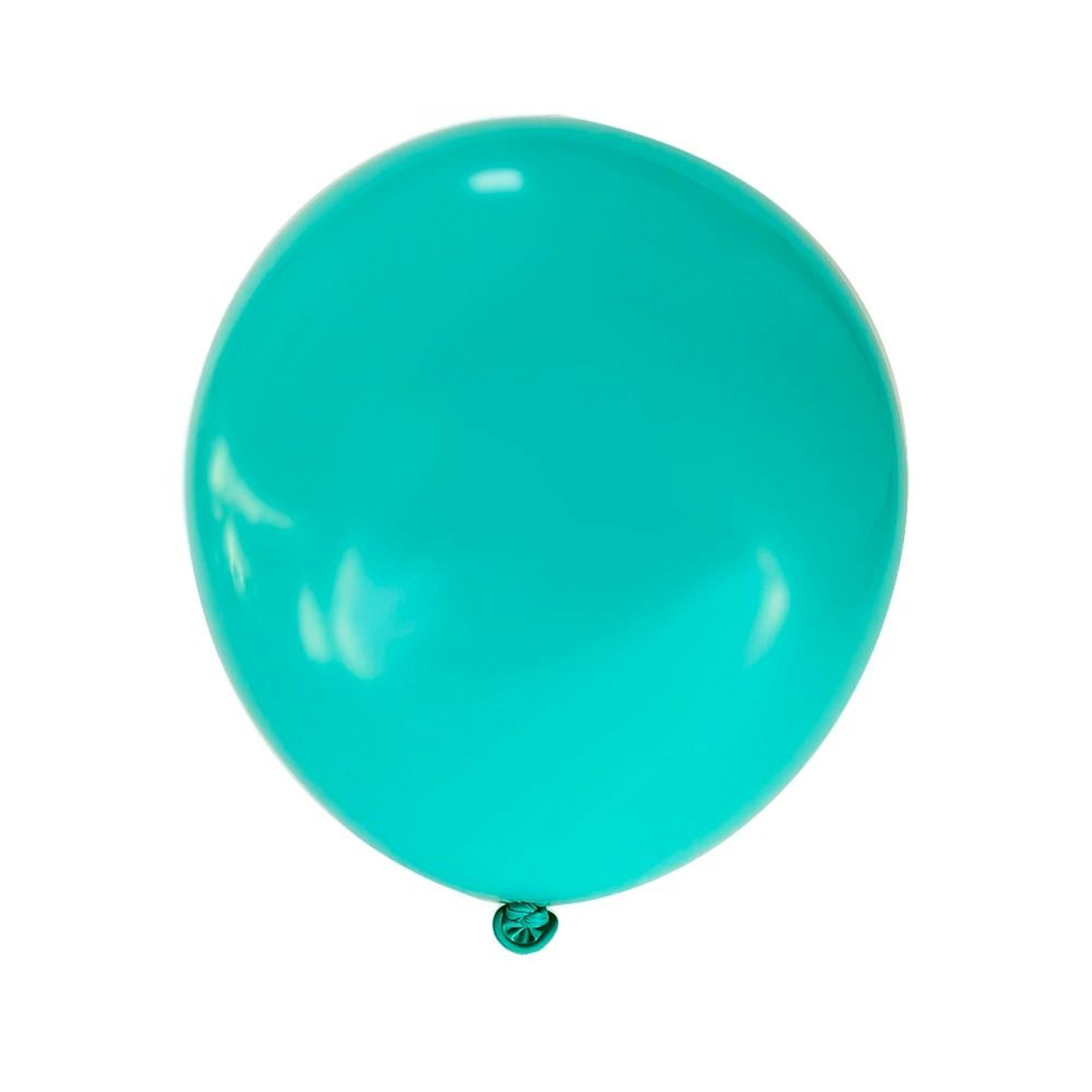 Premium Matte Latex Balloon Set  10Piece MultiSize Pack 24