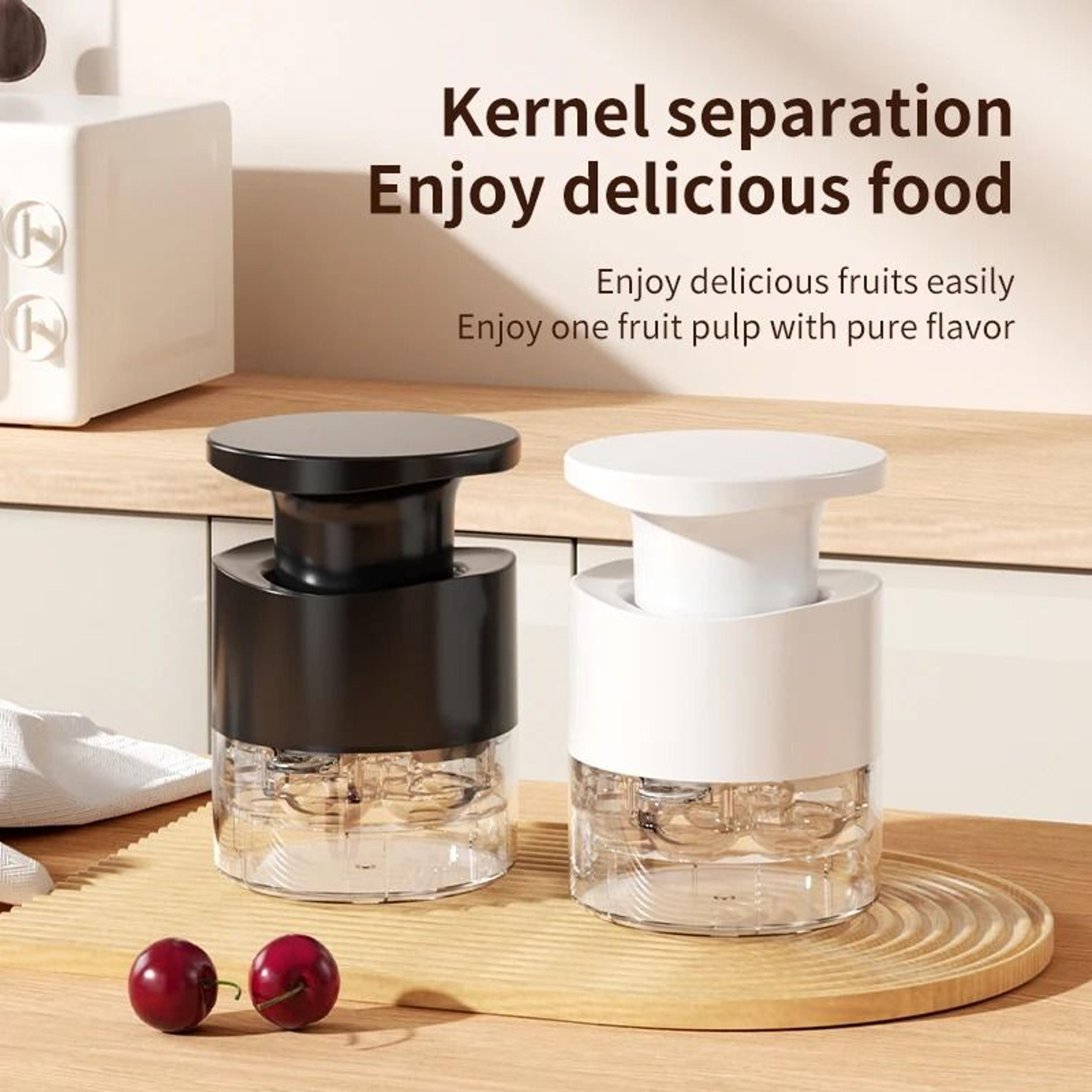 EasyPress Cherry And Jujube Pitter 1