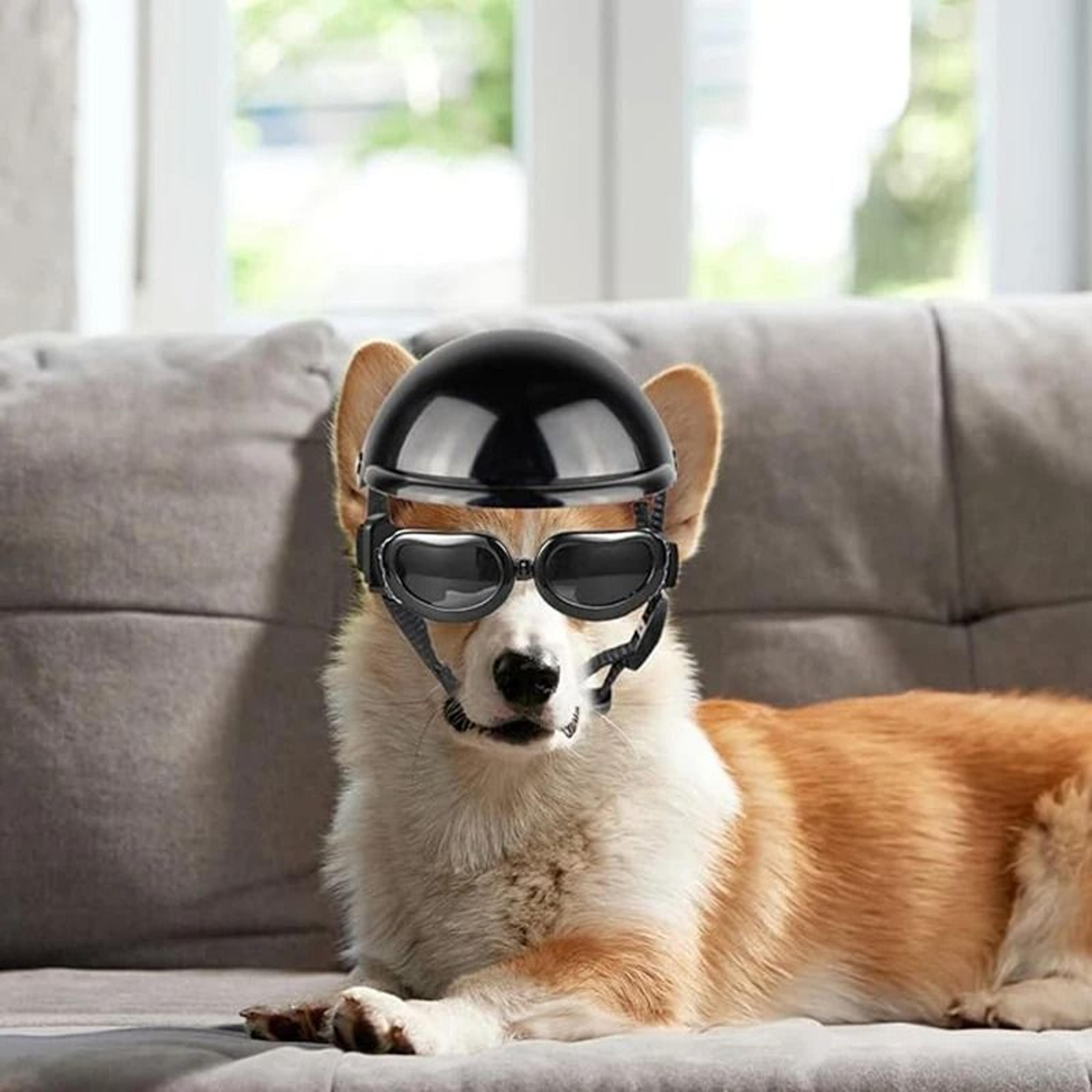 Sport Dog Helmet  Goggles Adventure Set 2